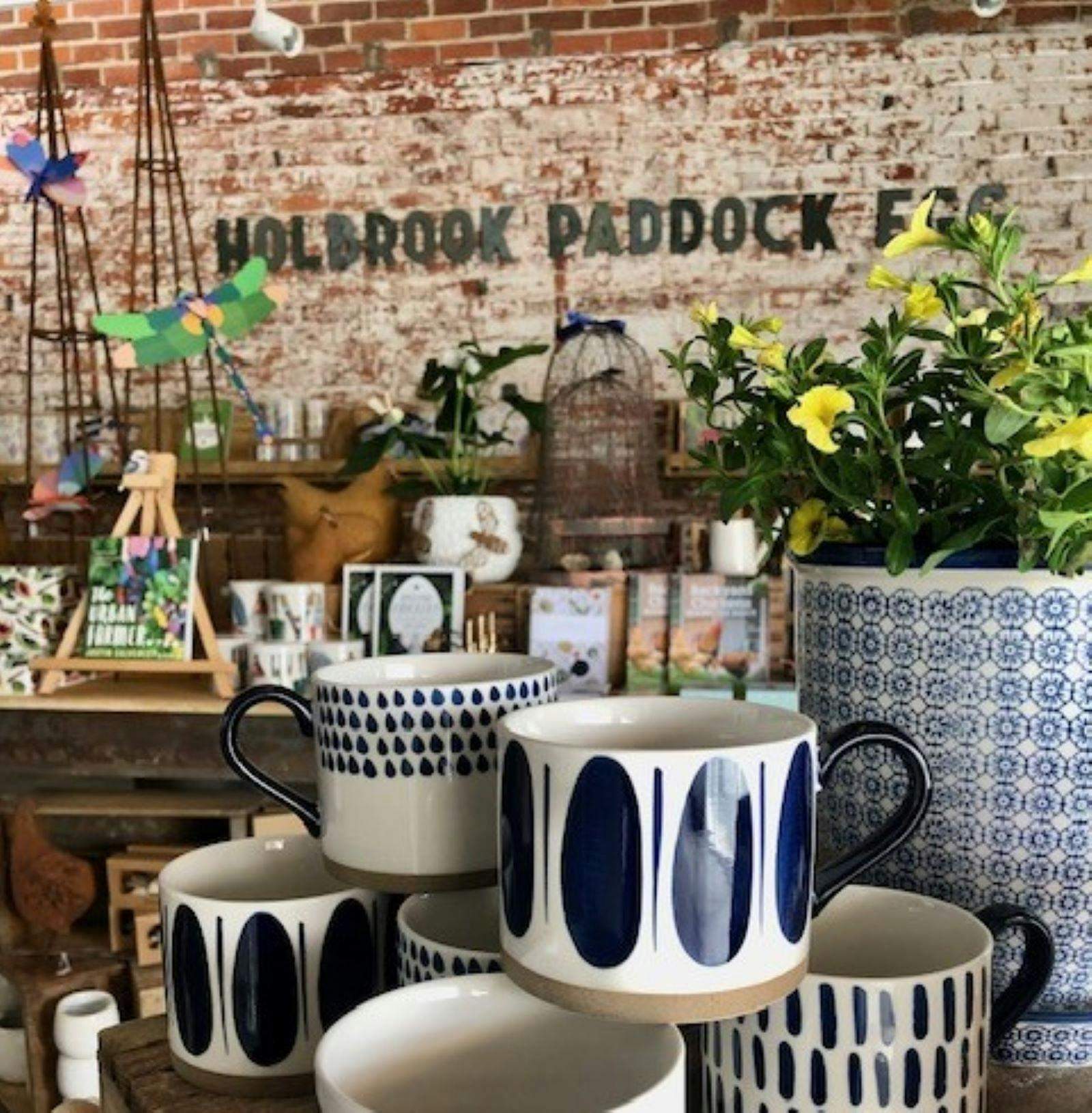 1Af666F9244C33F0B4Fc488Ab189E9F5