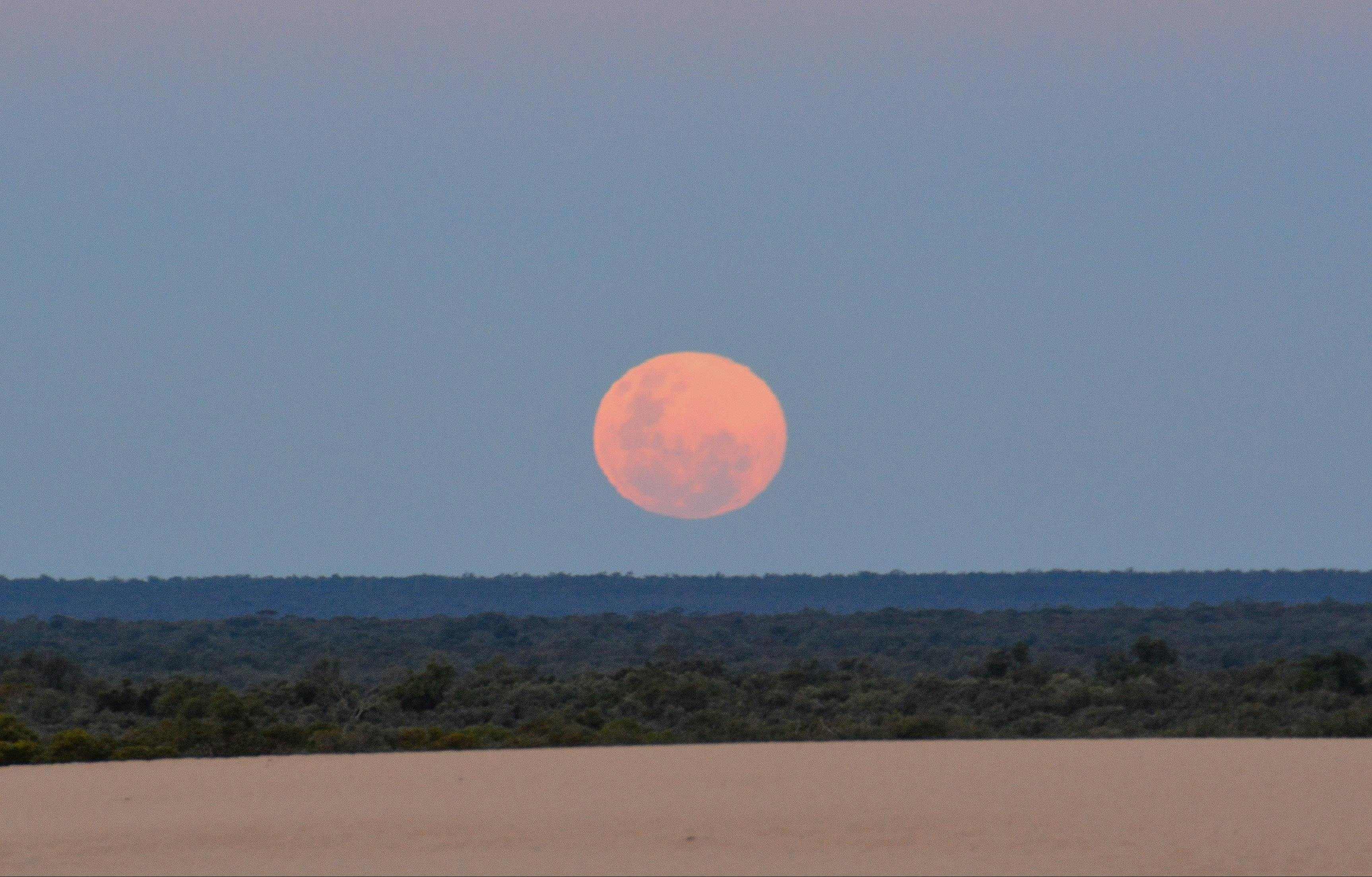 966Bdb71De4826774807A1Ea49A3A086