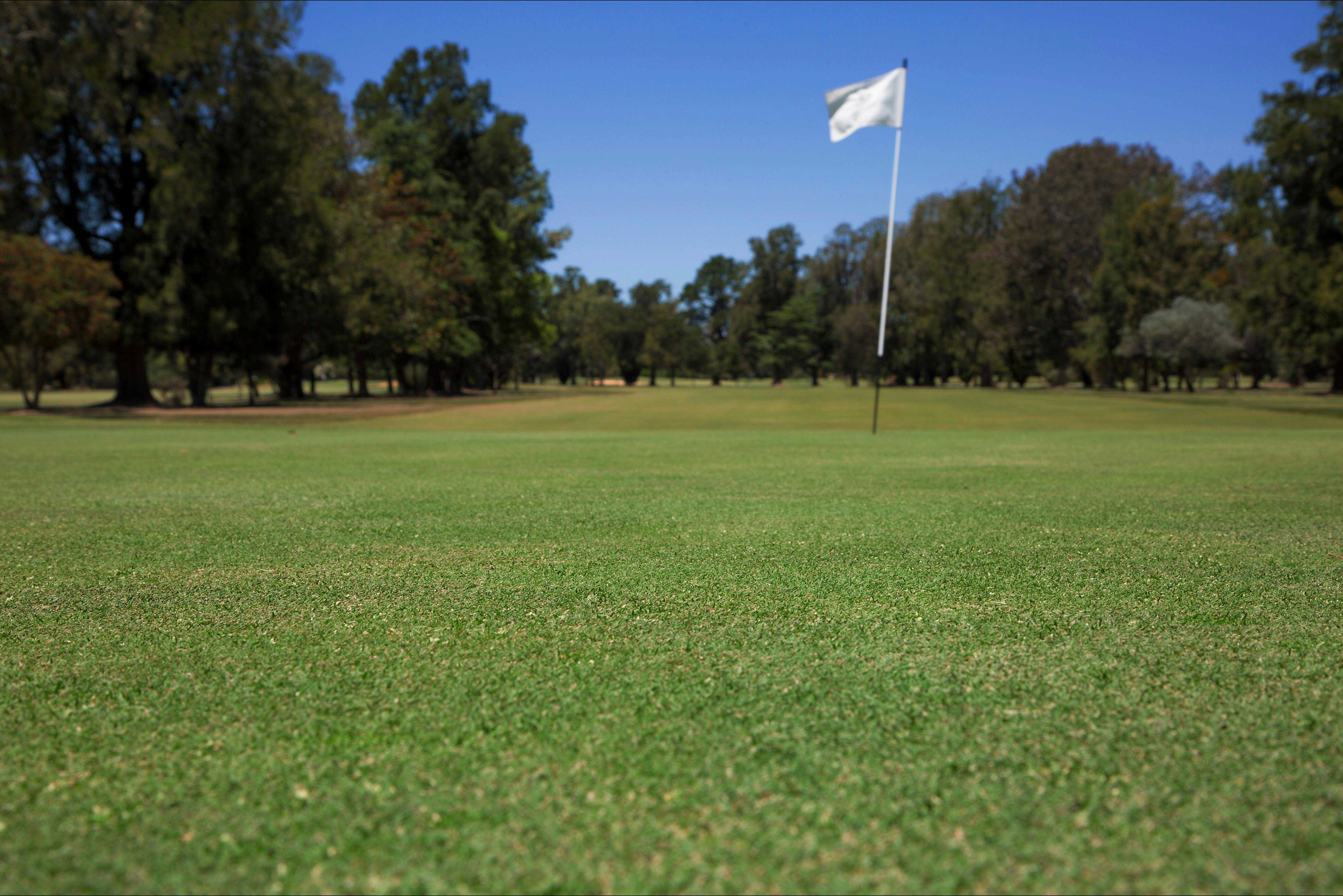 95A1Eecd682977763865E6849A7F40D5