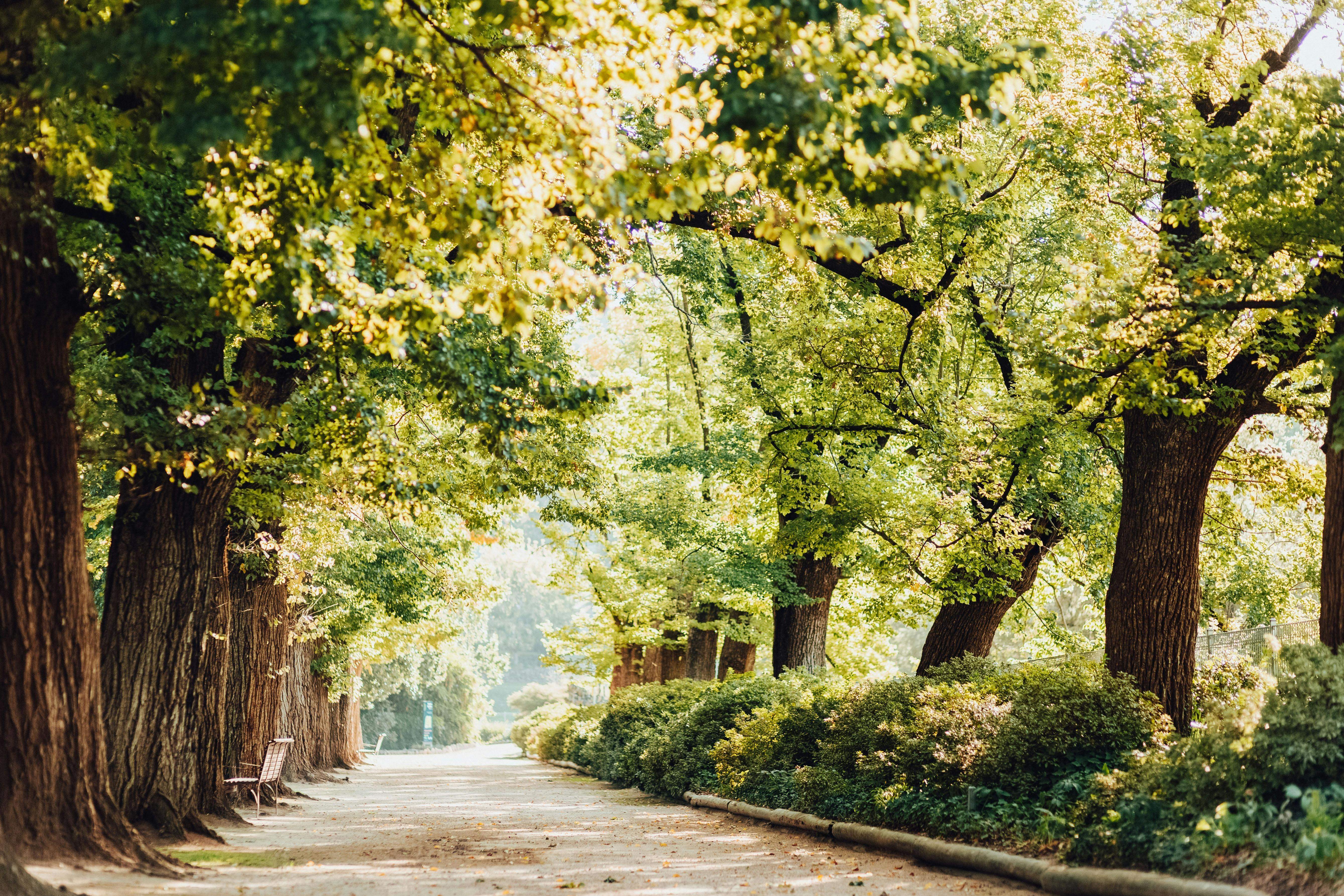 B44C1665F383D78Be69418Dd222D803B