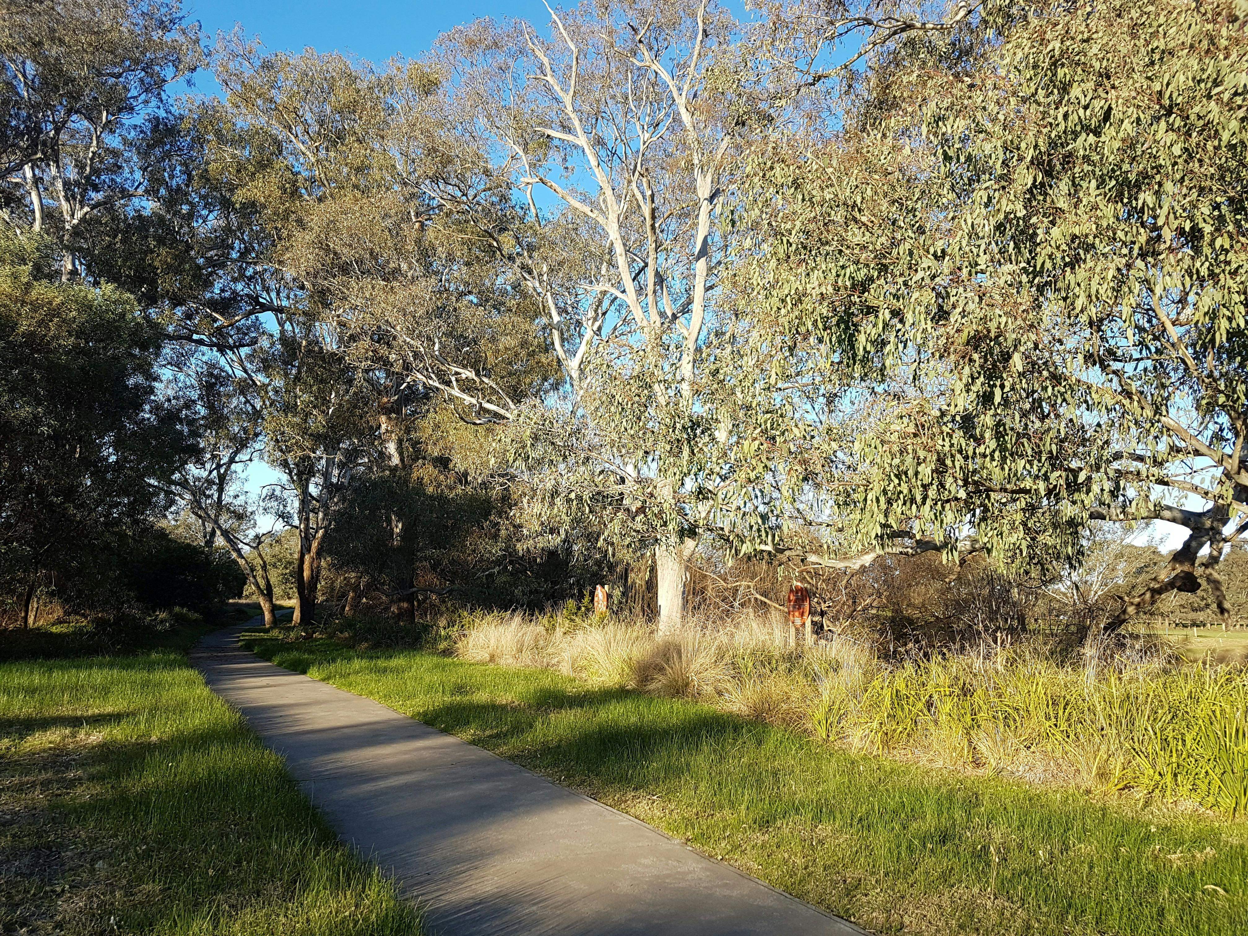 01177B8962Dd44617Ea0487B557E7Ba5