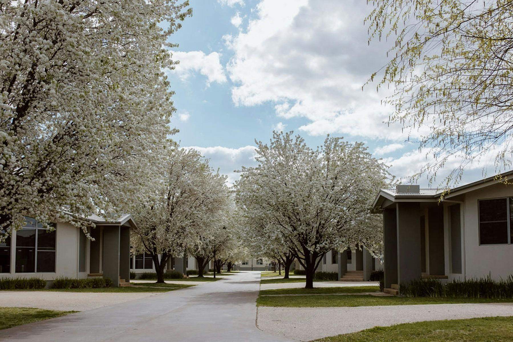 4D0Fde784544E117E7Bc4894D4A07Ac1