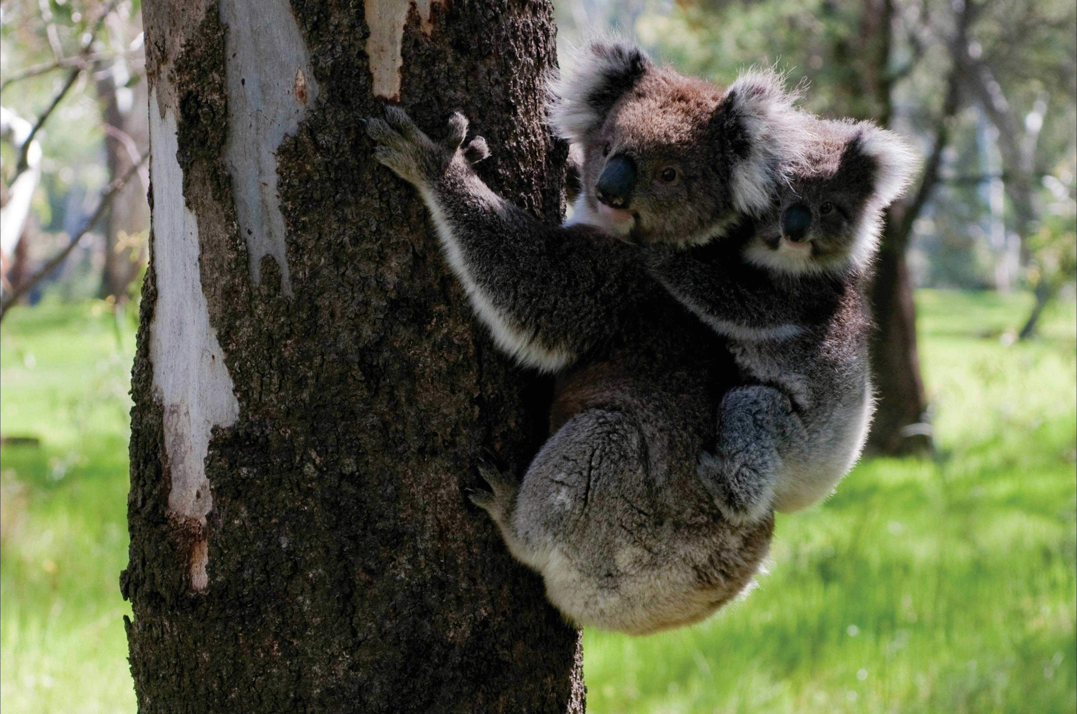 1C7E5Ddf13Aa71Ceda72Db5D1Fff699D