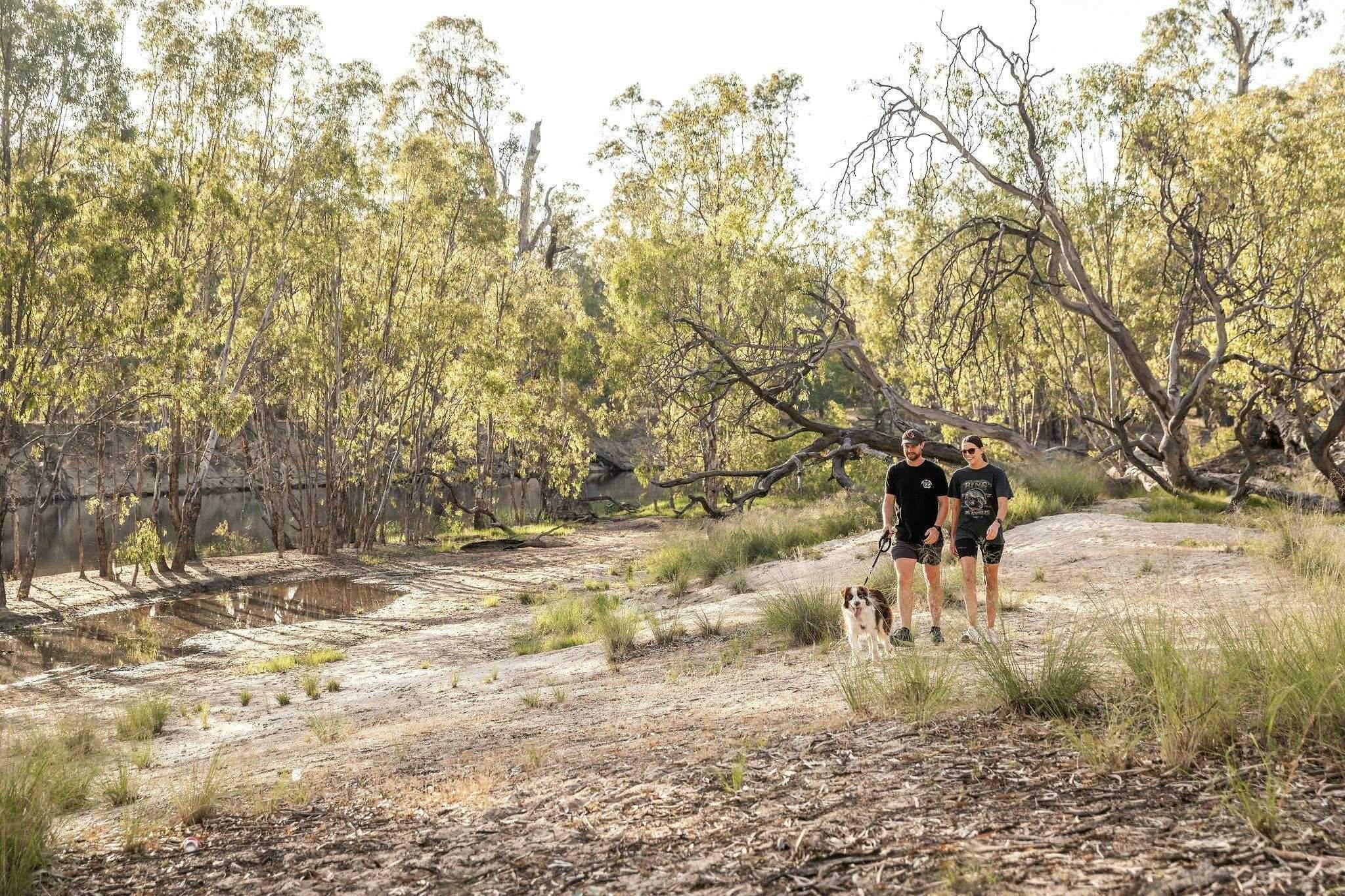 52836B858704E24E8196F3Bb165Ef542