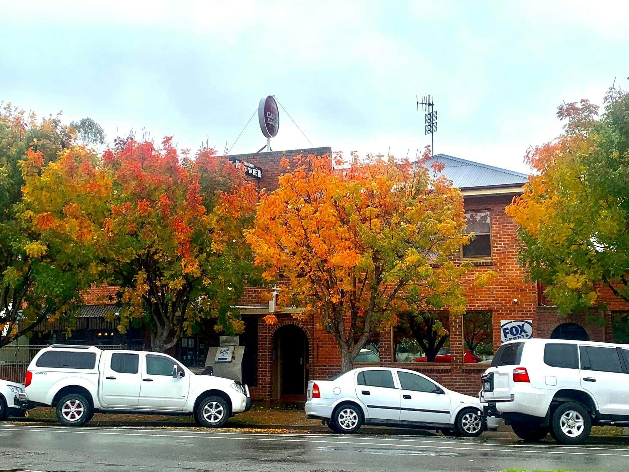 C6E02B36E053C13A1685D3E3227F29E8