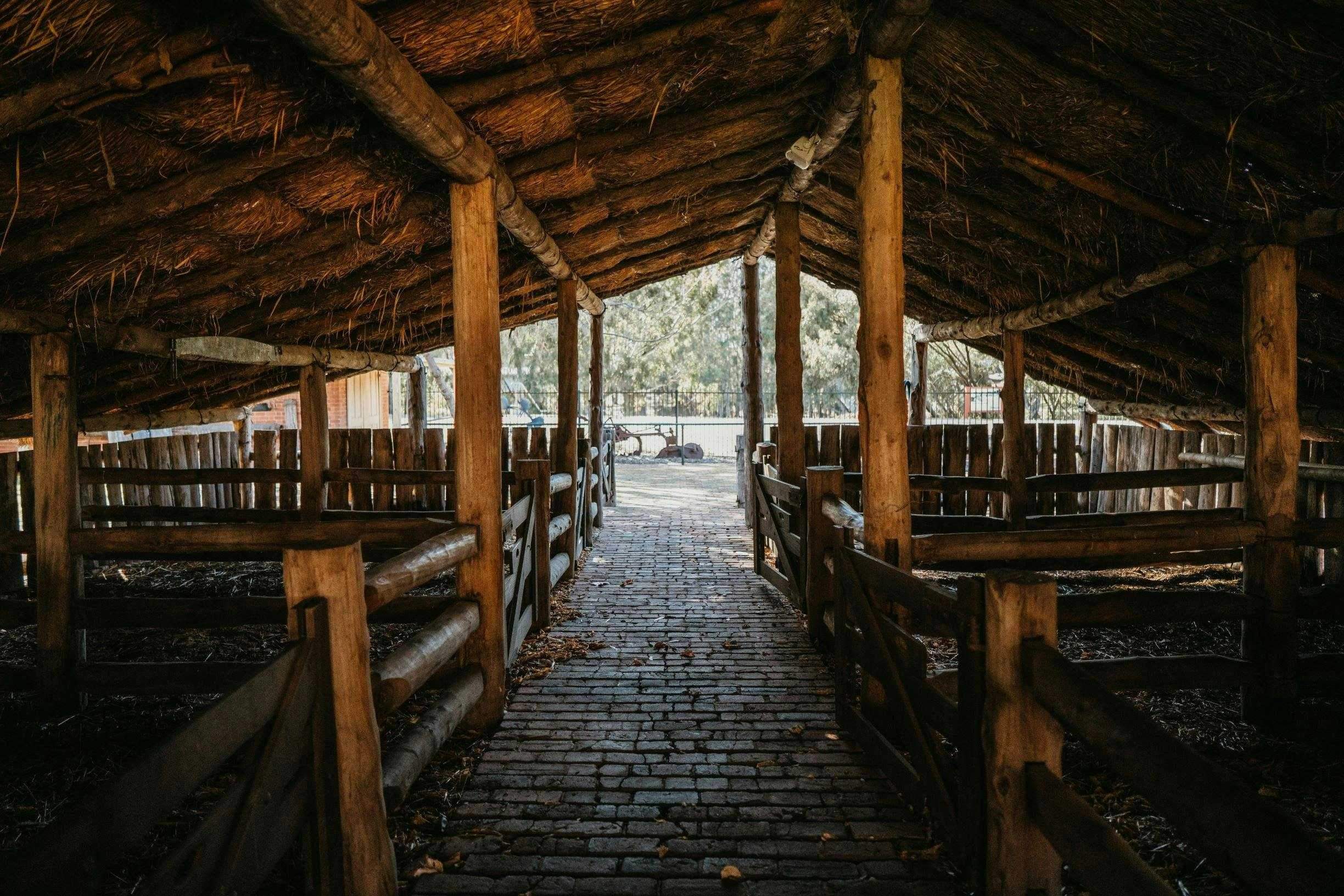 Cb4C0272E128338225656482B5748675