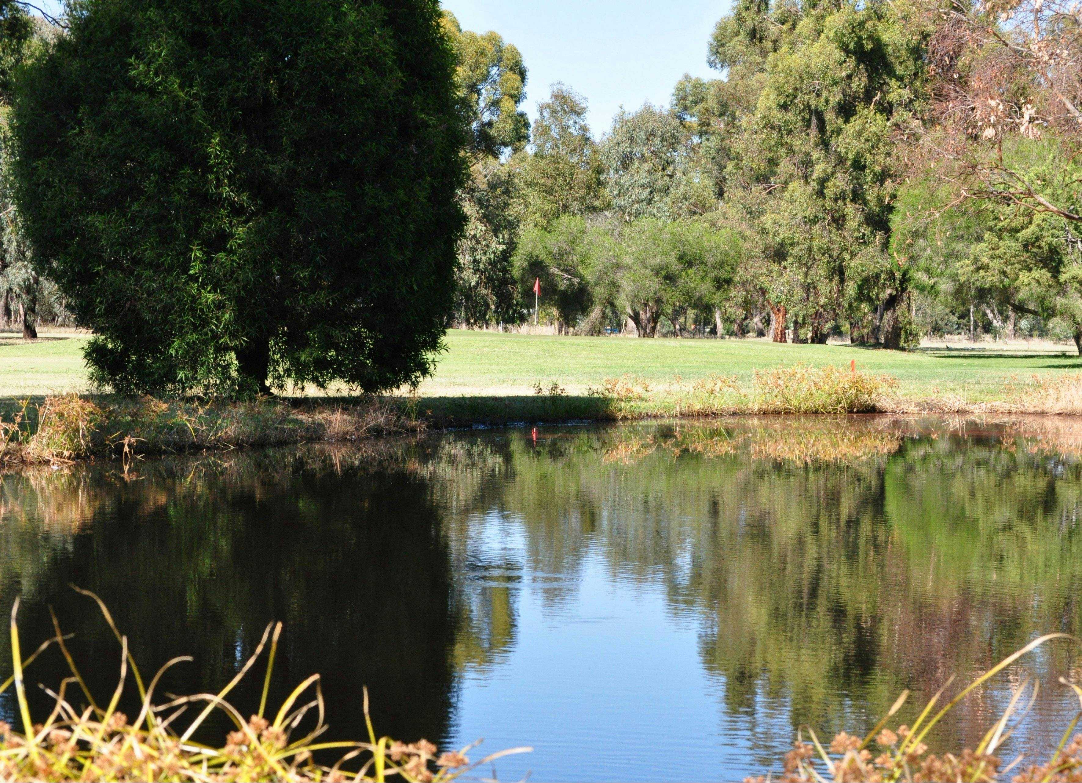 A909Fdc3A14575C43De6A7F9548011Fb