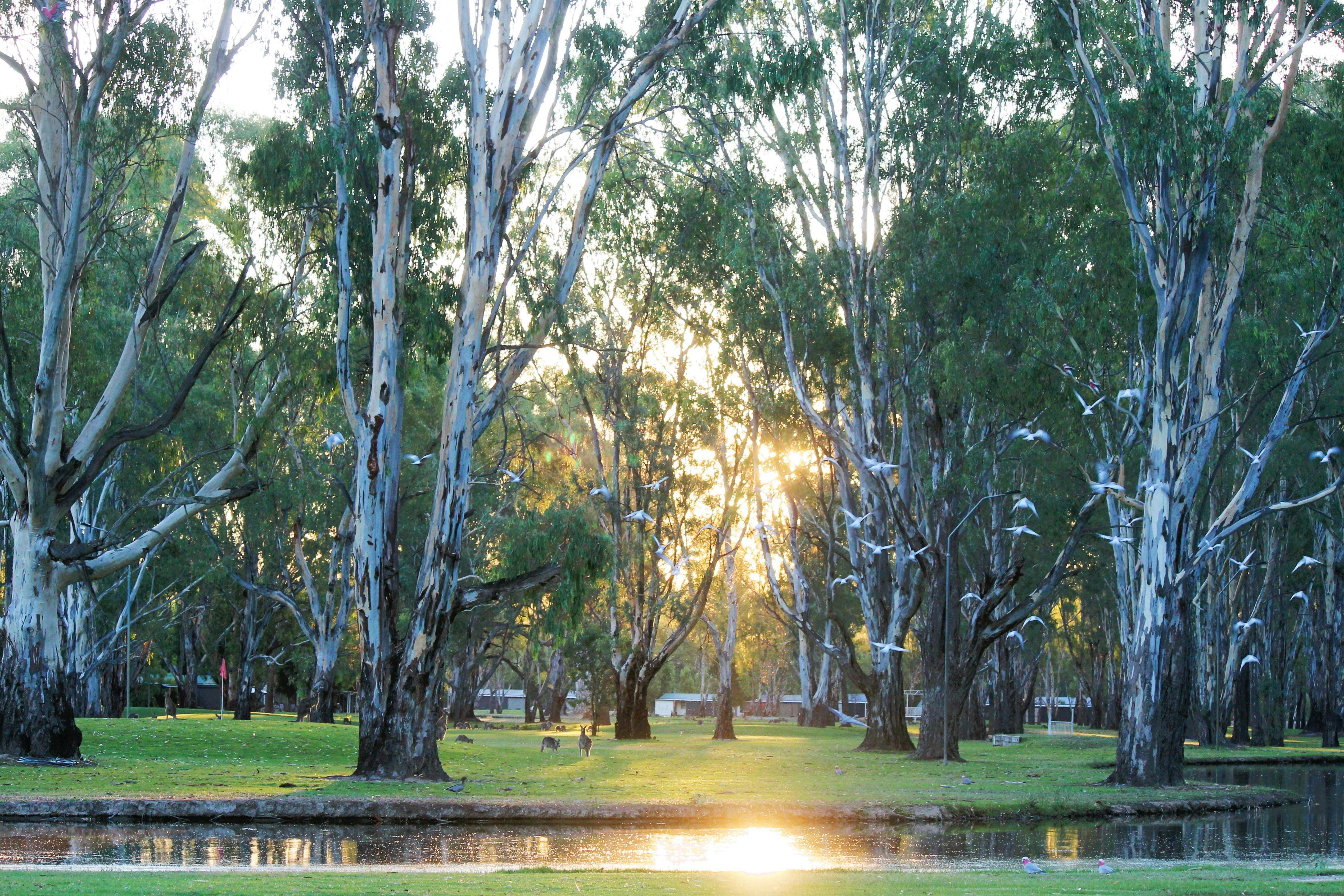 Cb923F464B9Fc5819F786E6B35936031