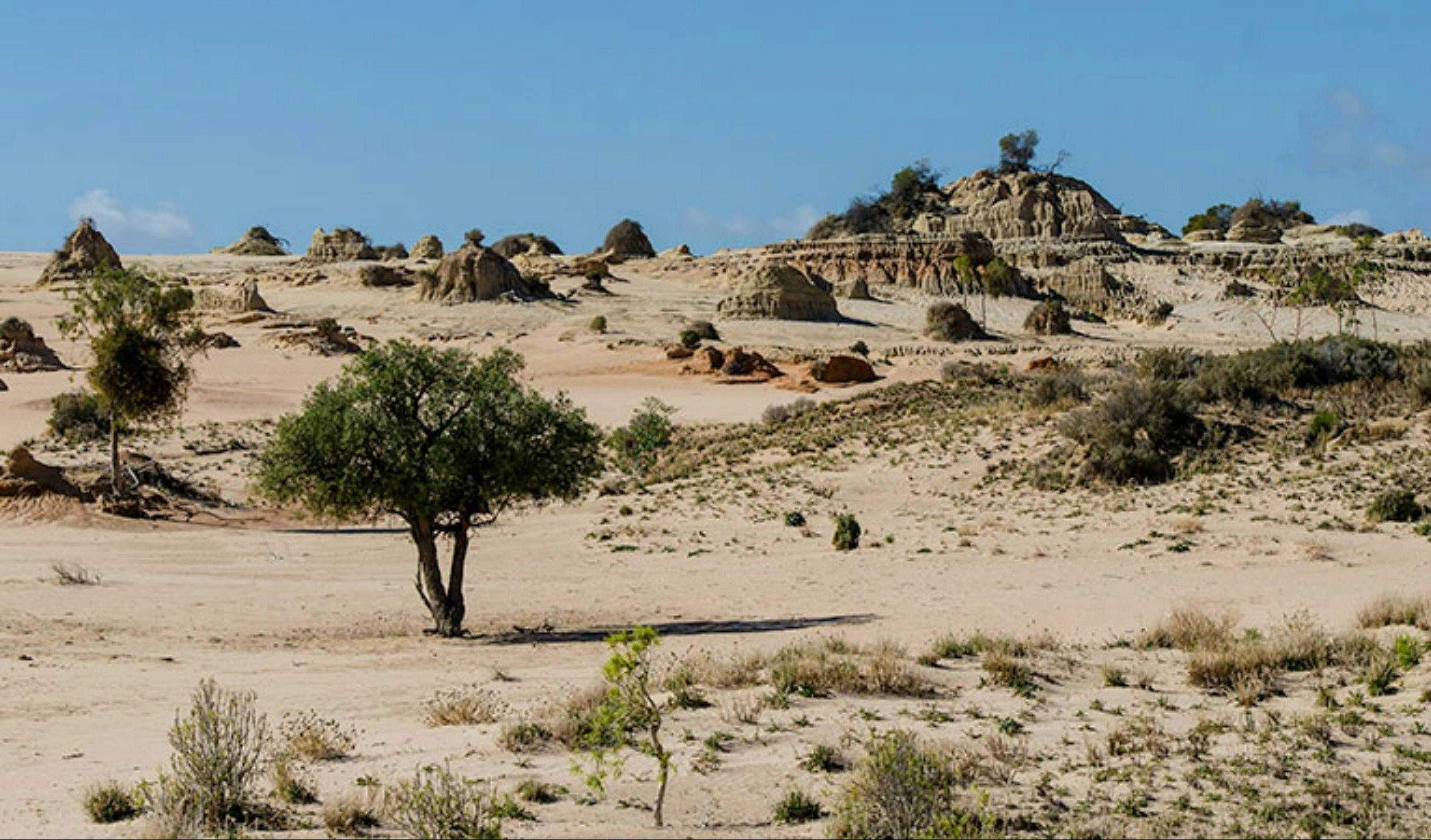 7E4F20349803268E8Ef6488Bbb051889