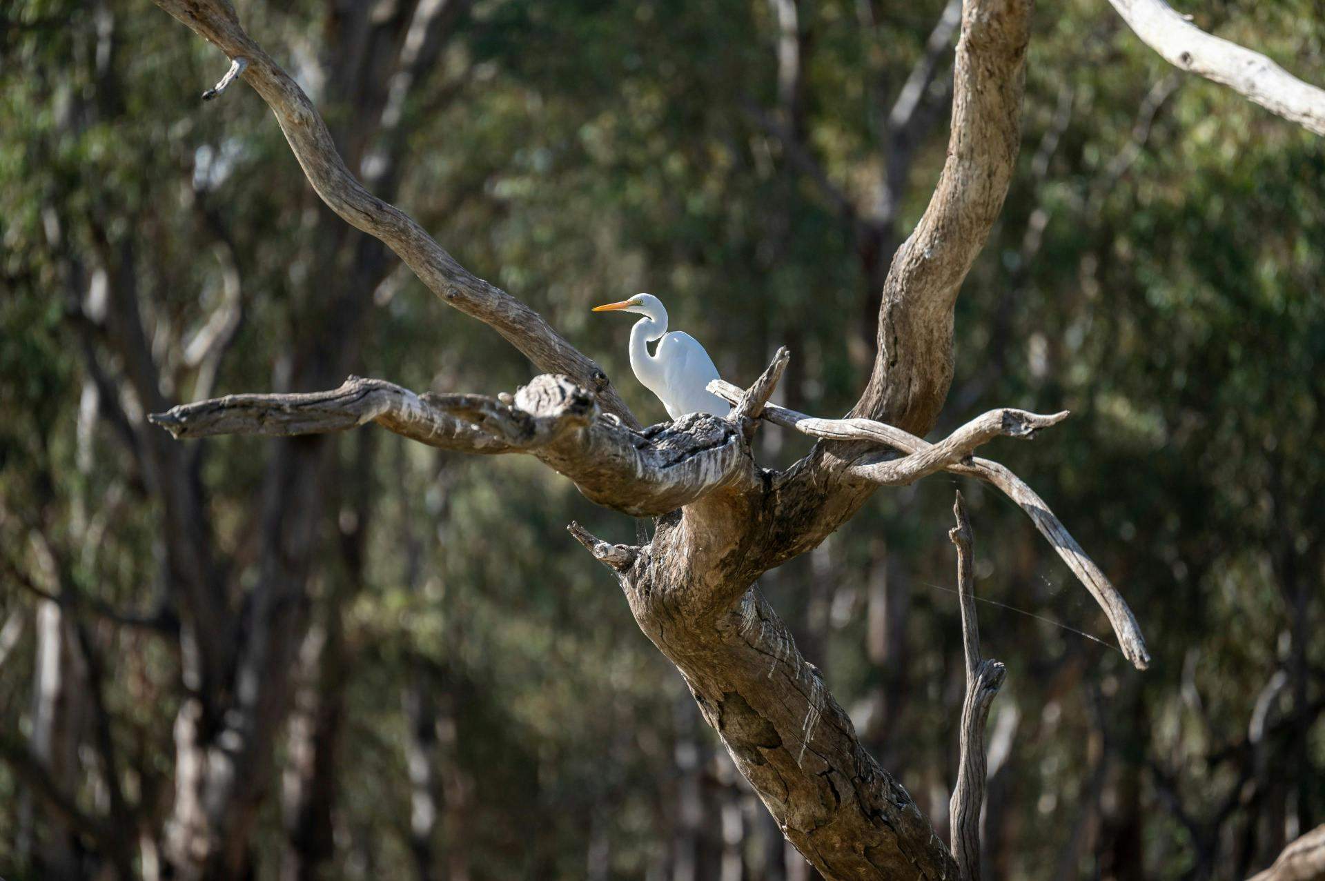 1E4A7D233C6Cfb07681Cdd408Fe88F9B