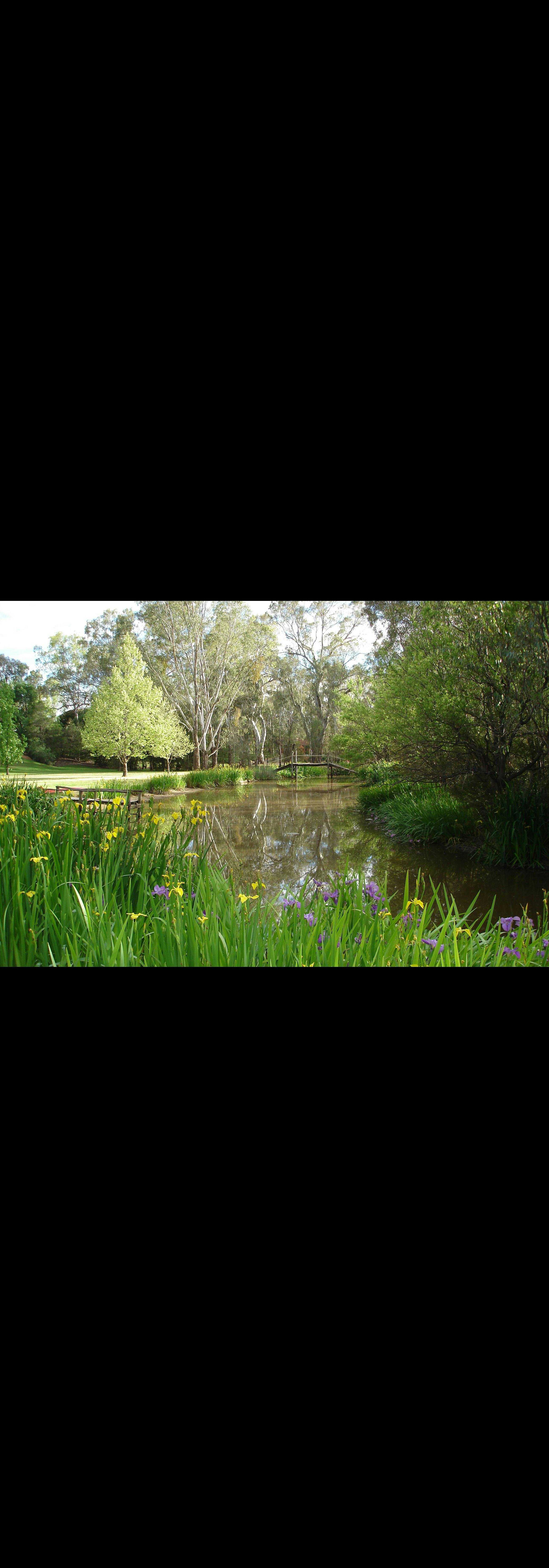 C646505Cd6C70Dde9E310Dc49A4Ef53F