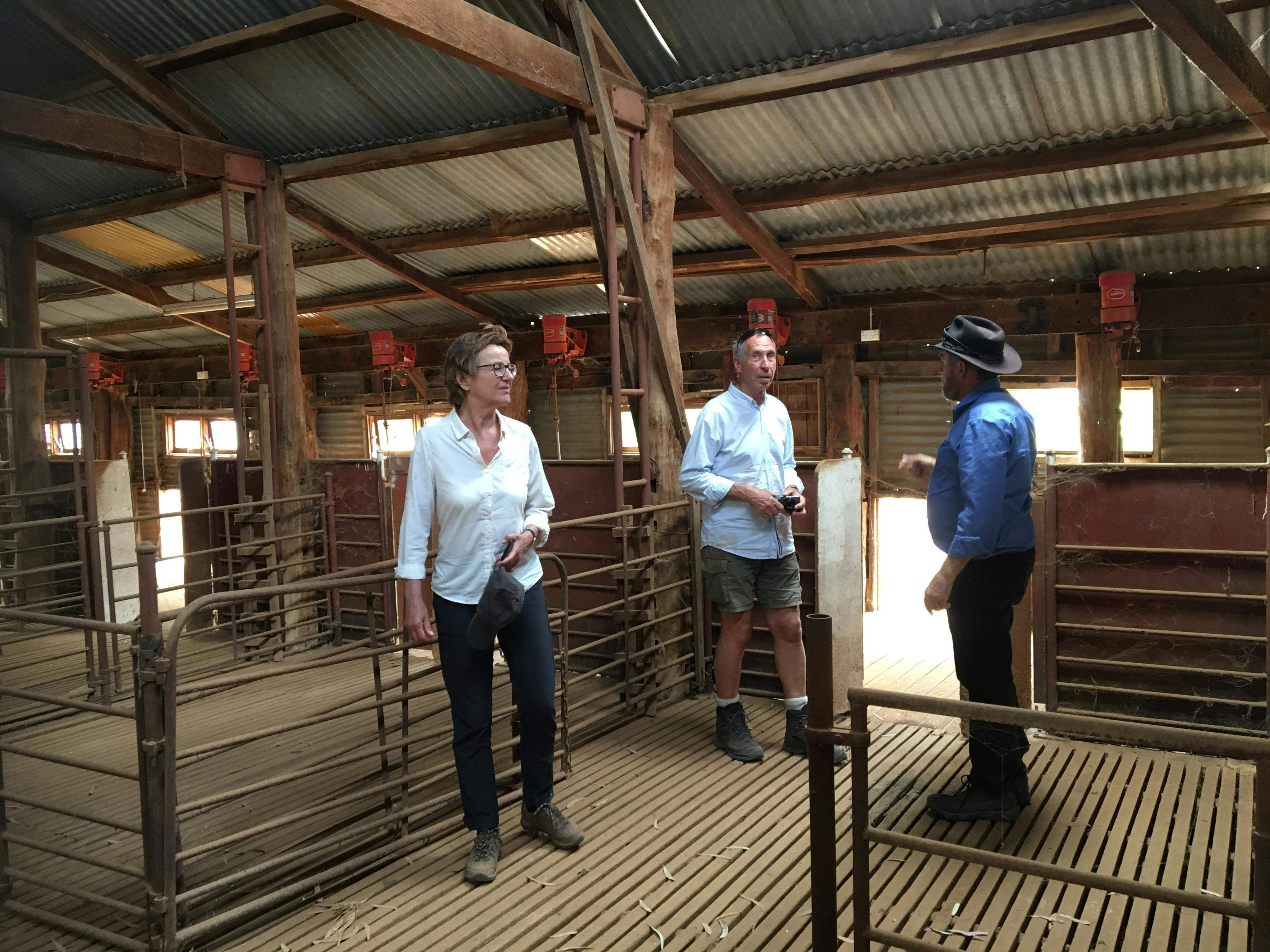 D231D5Ea651D78D262Ade30D6790F8Da