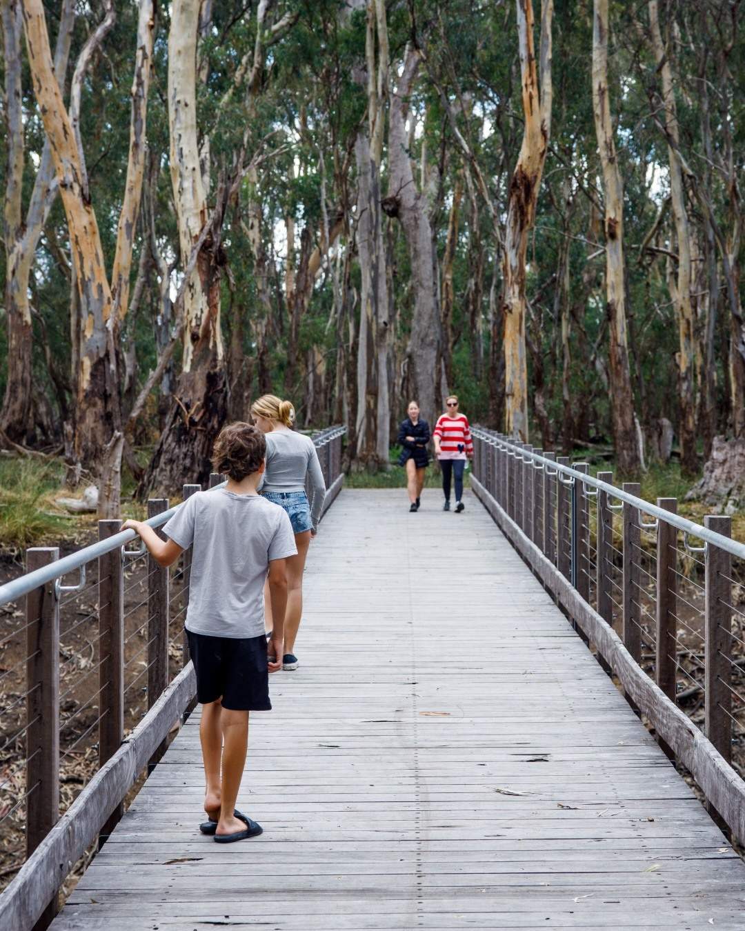 visitthemurray
