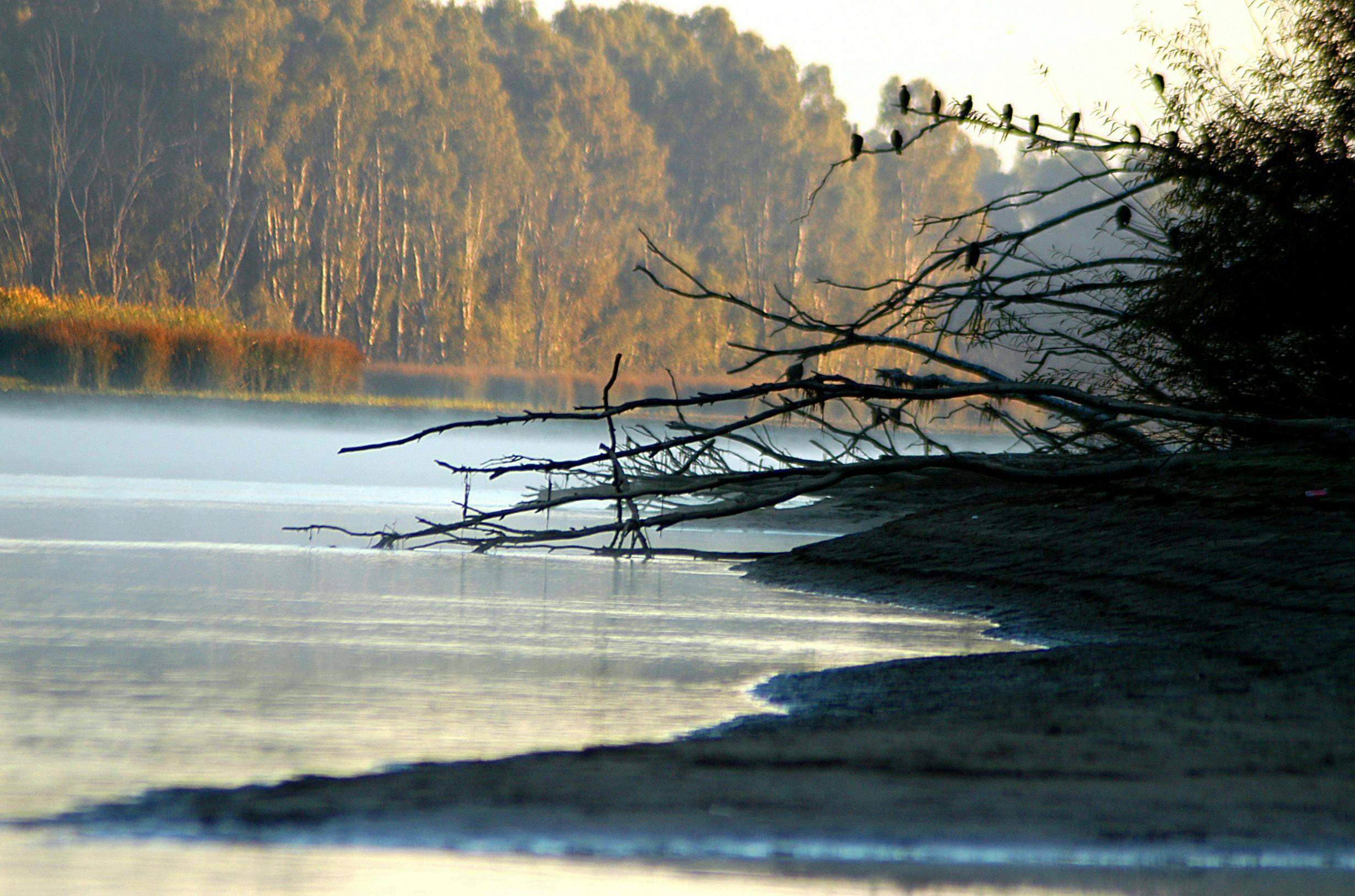 Original__9049480_Tvic_Visionsofvictoria1040019304_I9Uwyj7