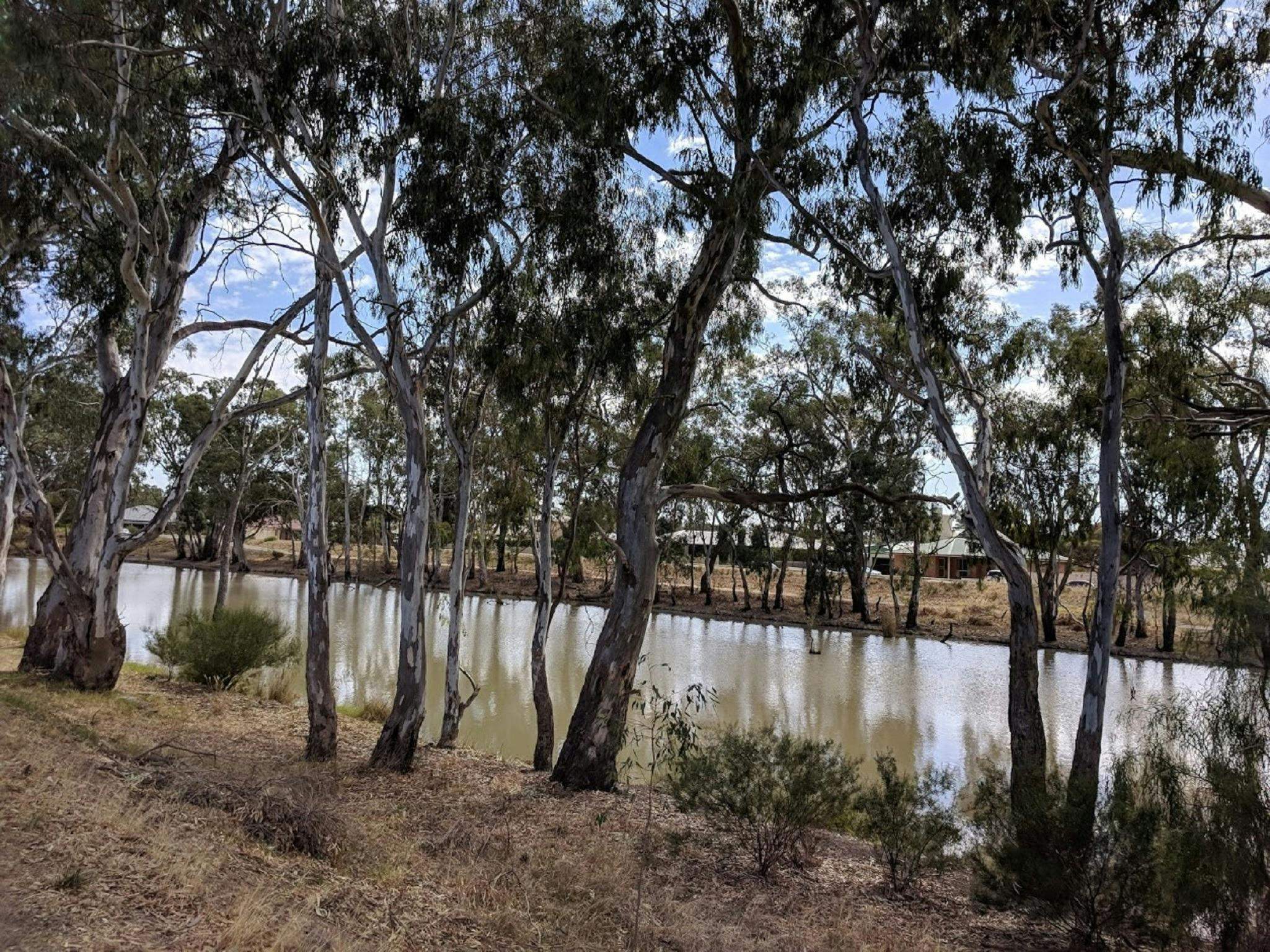 Ce4Ec93A979F96571E7C644117C260A5