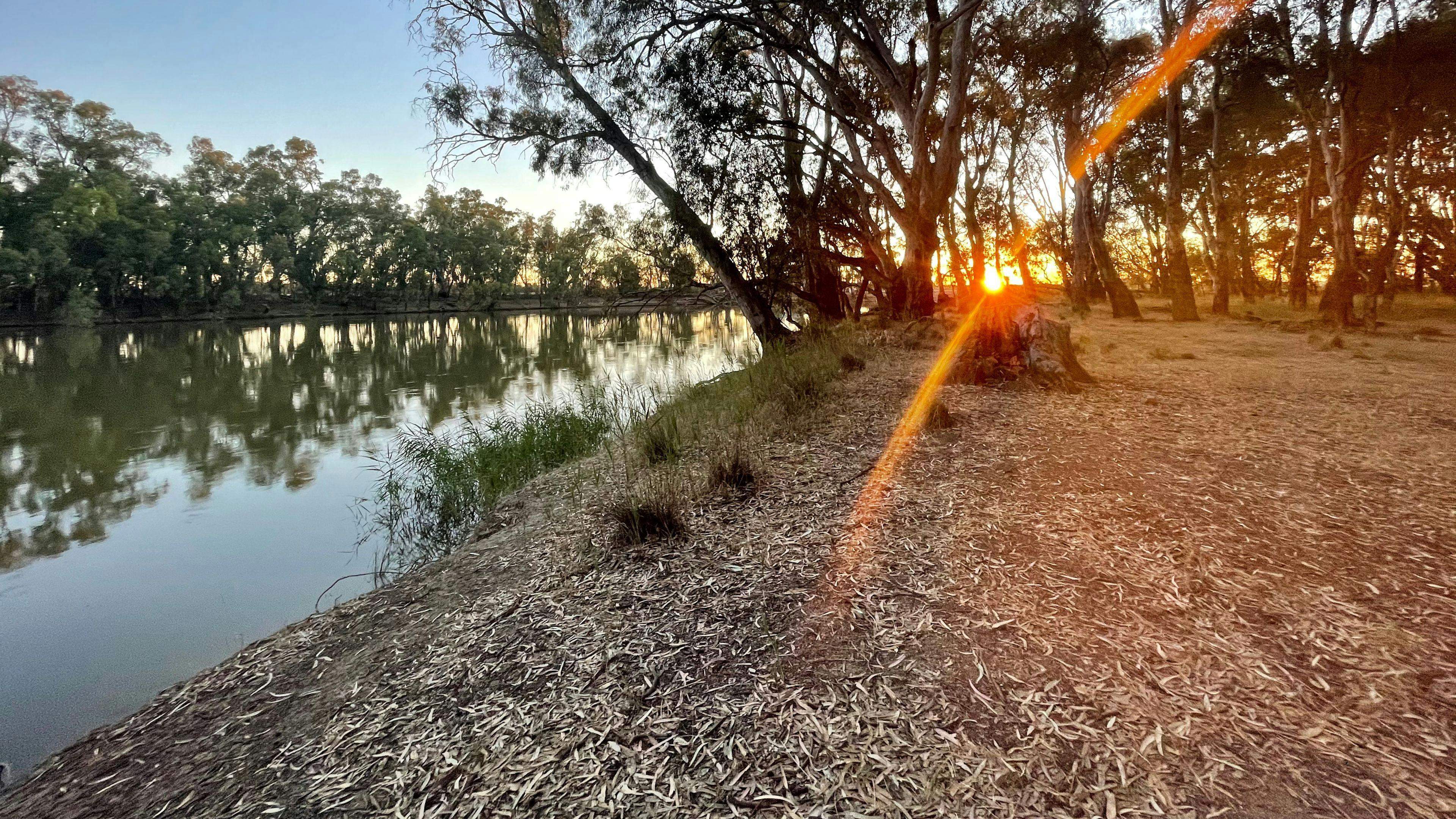 Murray-View-Murray-River-Pig-Bend_60Pdfye