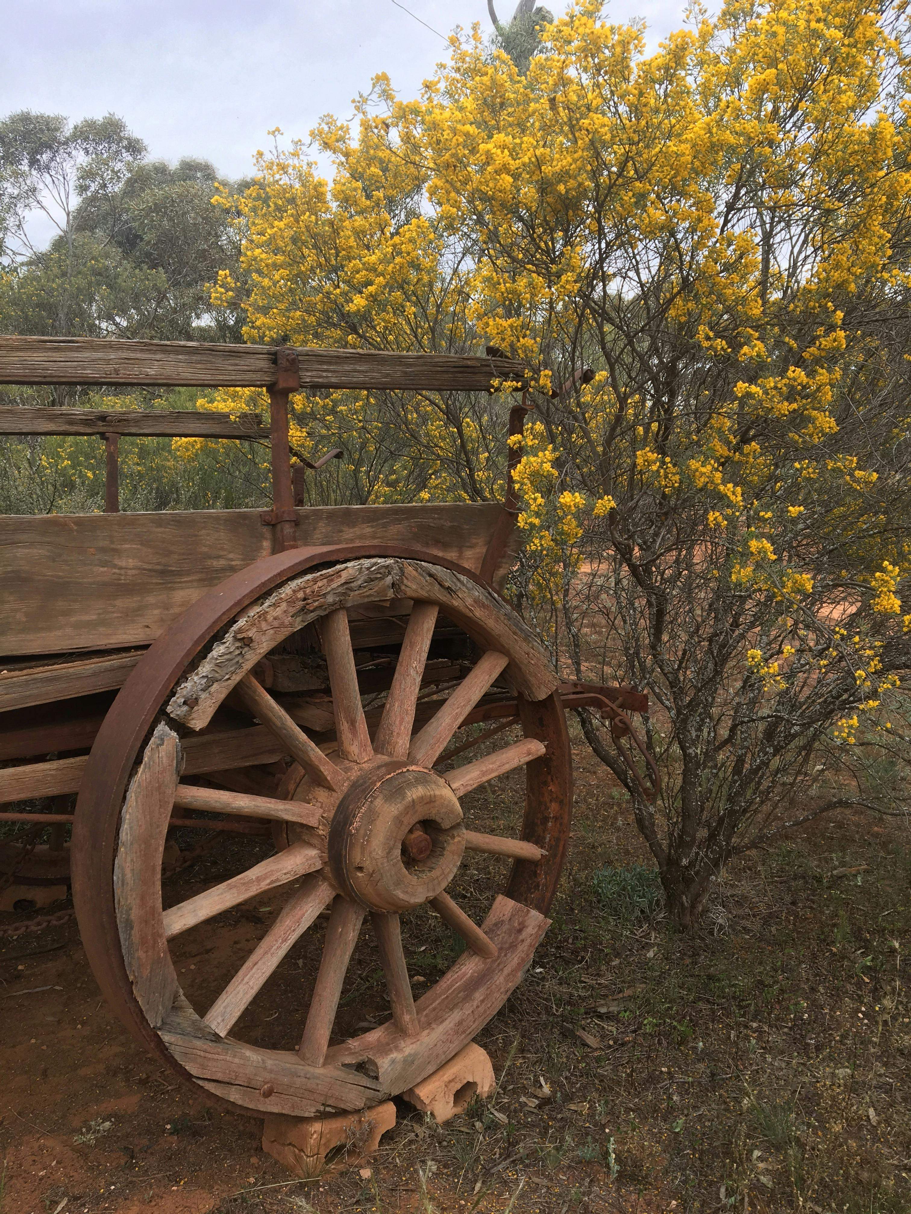 Dbcd94A28Cf4705845808Bb787E52Fc6