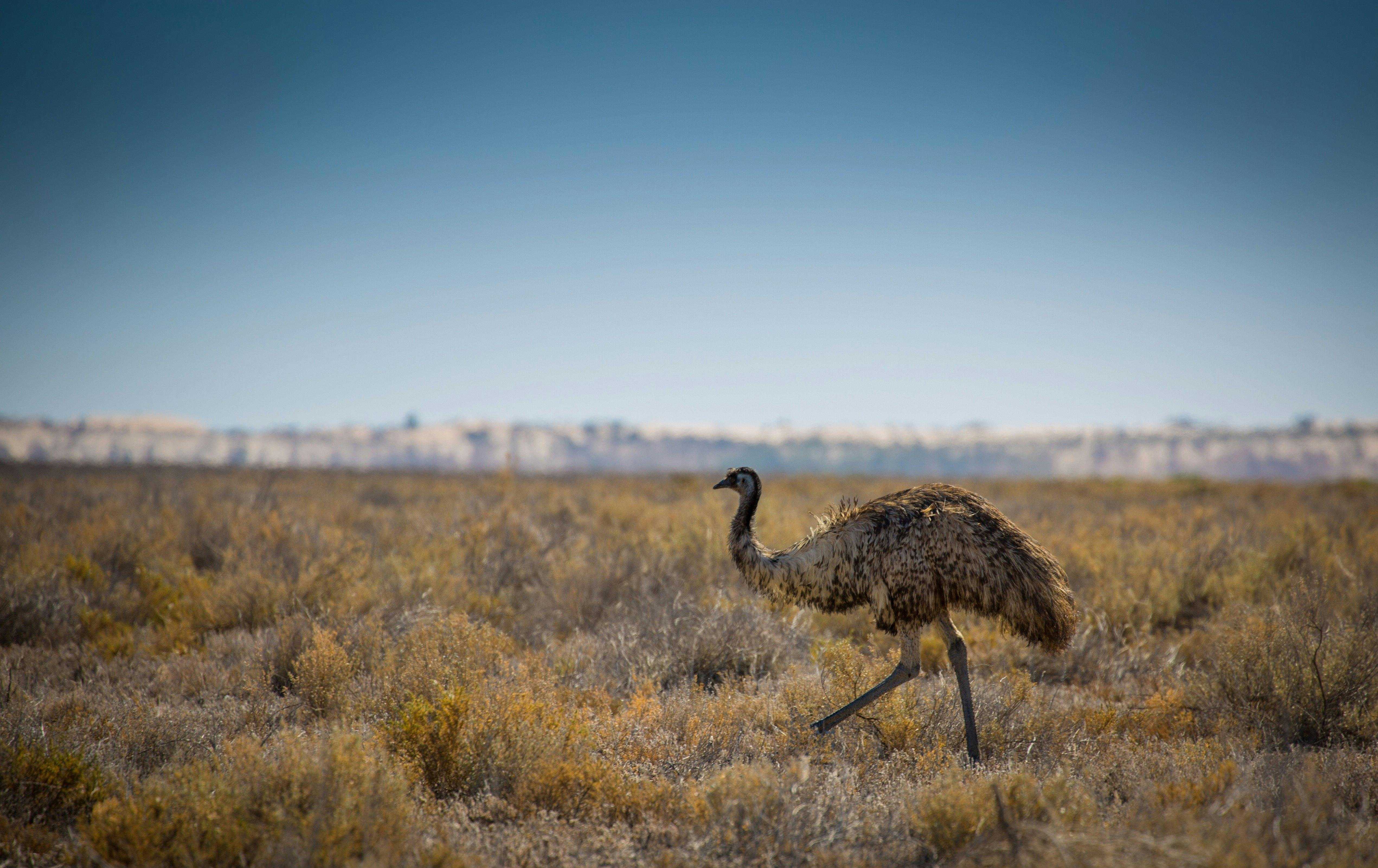 7B94Ece81205C65B5E08732D26A70Ab4