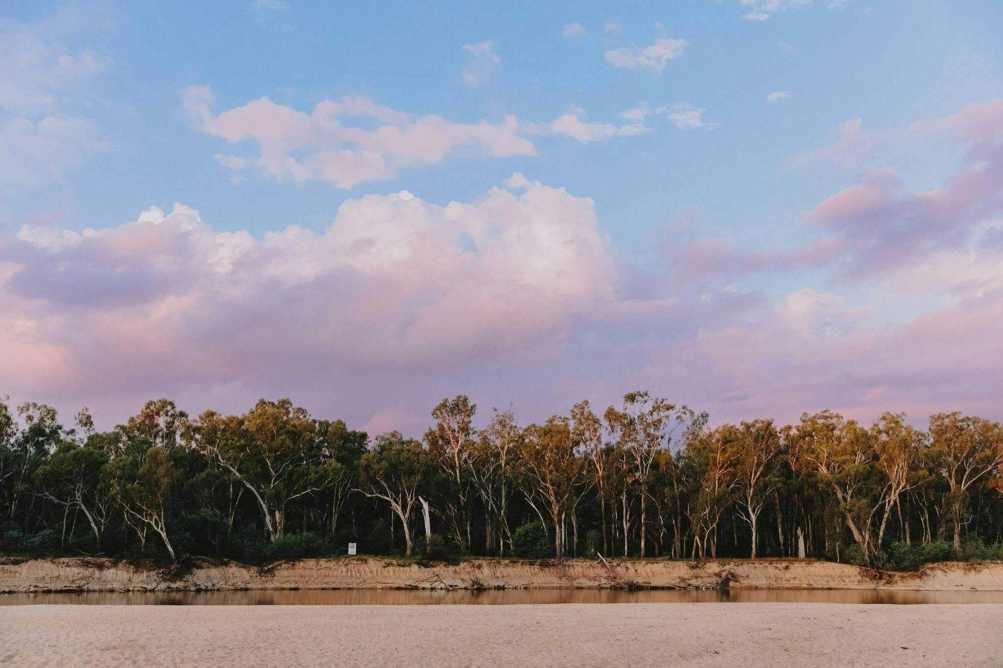 0910Fa93F2501E2Ea111A9666C6862Ab