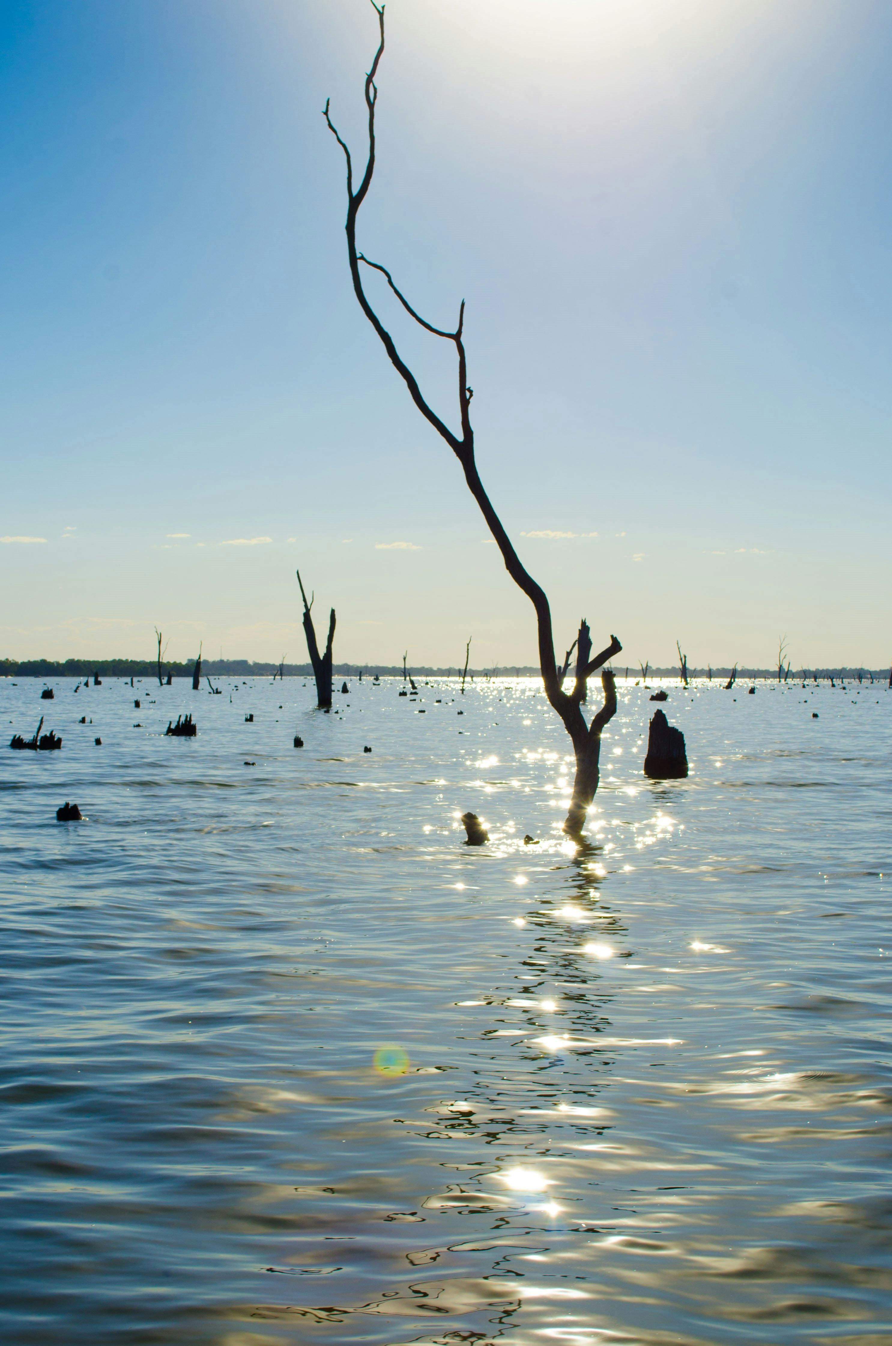 8Aebbad1134E6F78C0142667602Aea48