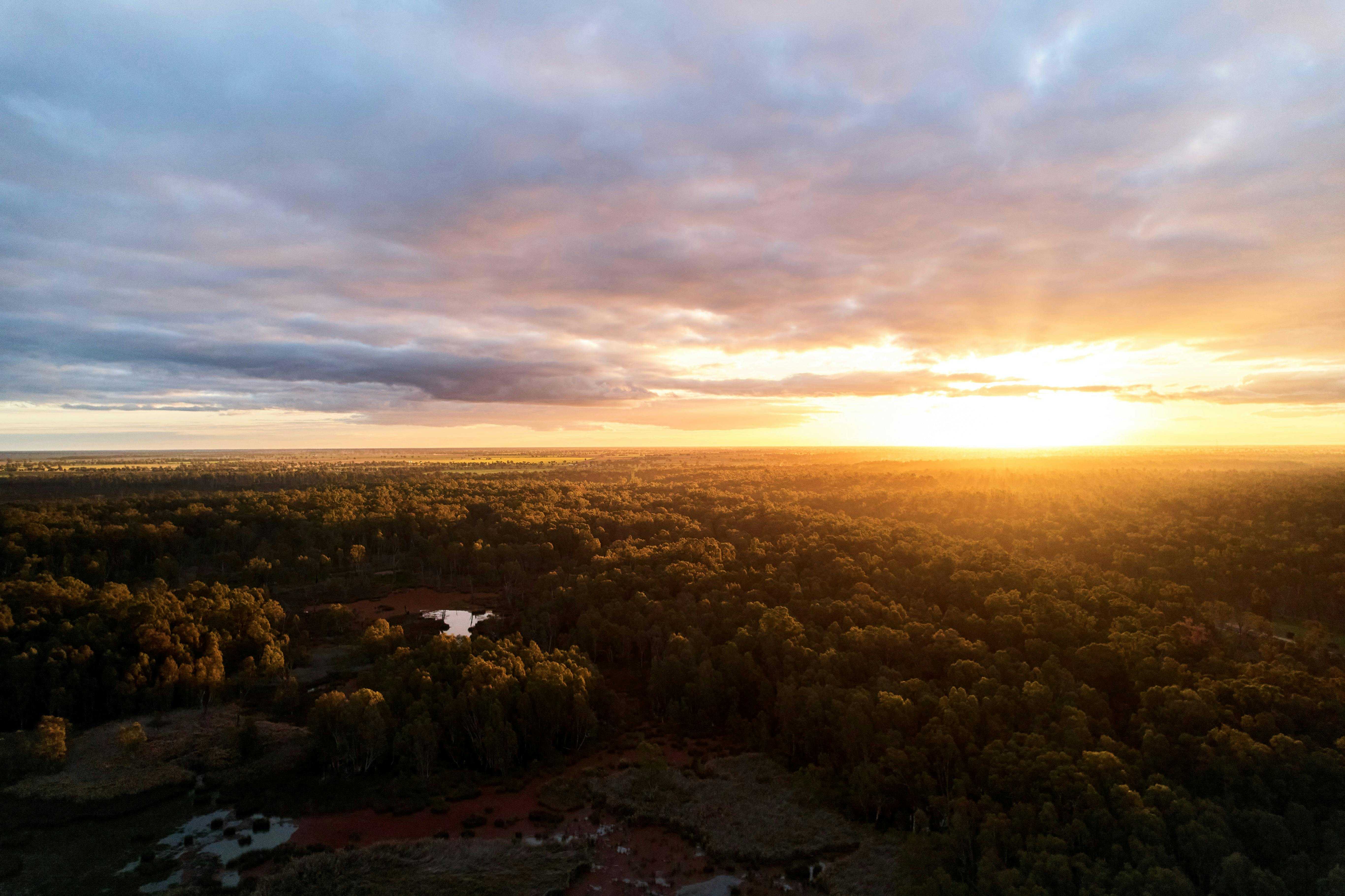 88968F595166288C65C0Db833C029261