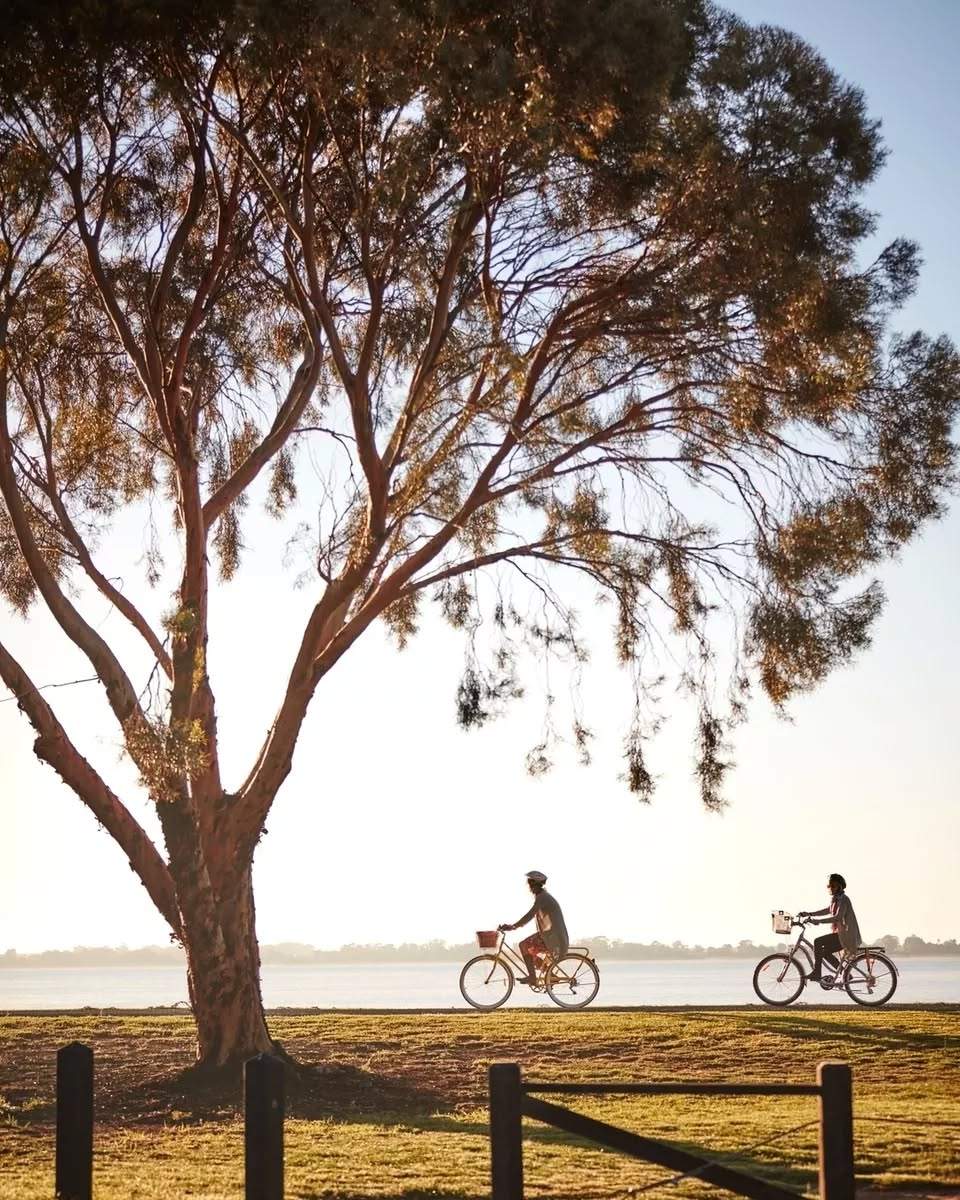 visitthemurray