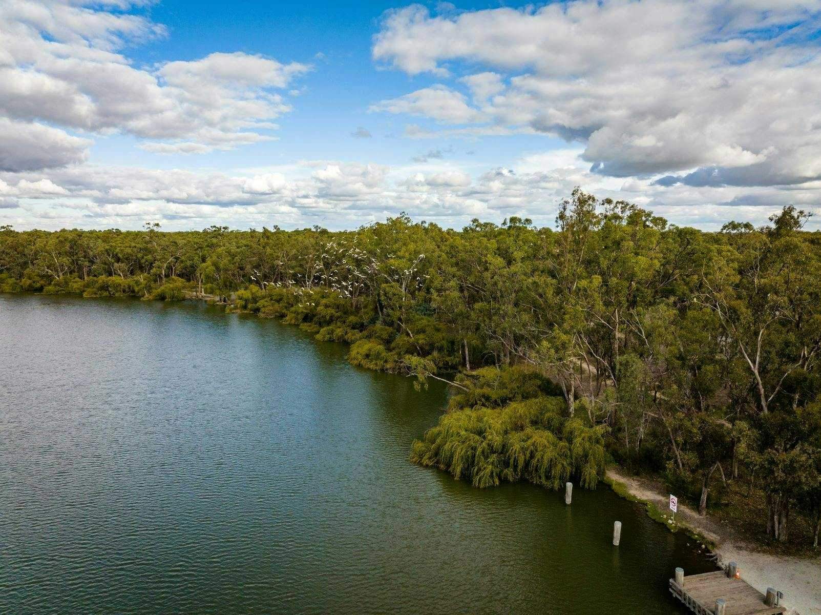 42Cc5D88F5413B27C4Aec3Ebec4D1643