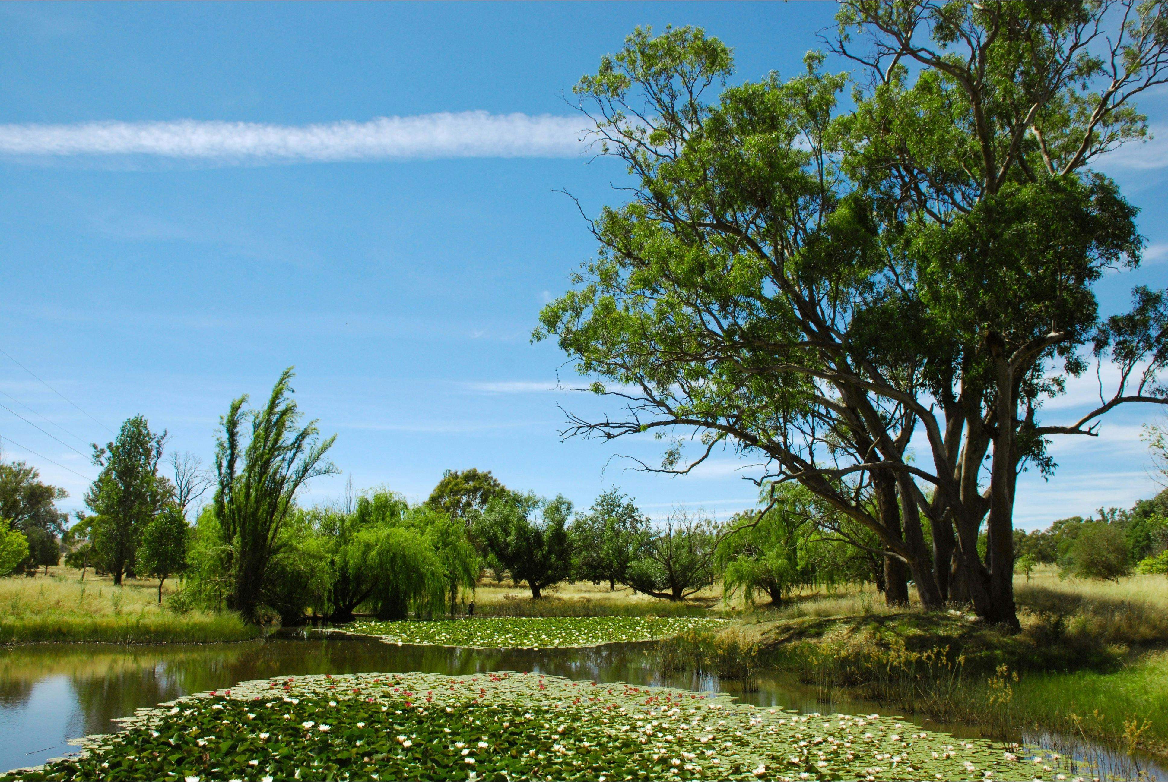 9Ac4Bc580B901D32F641858F76827664