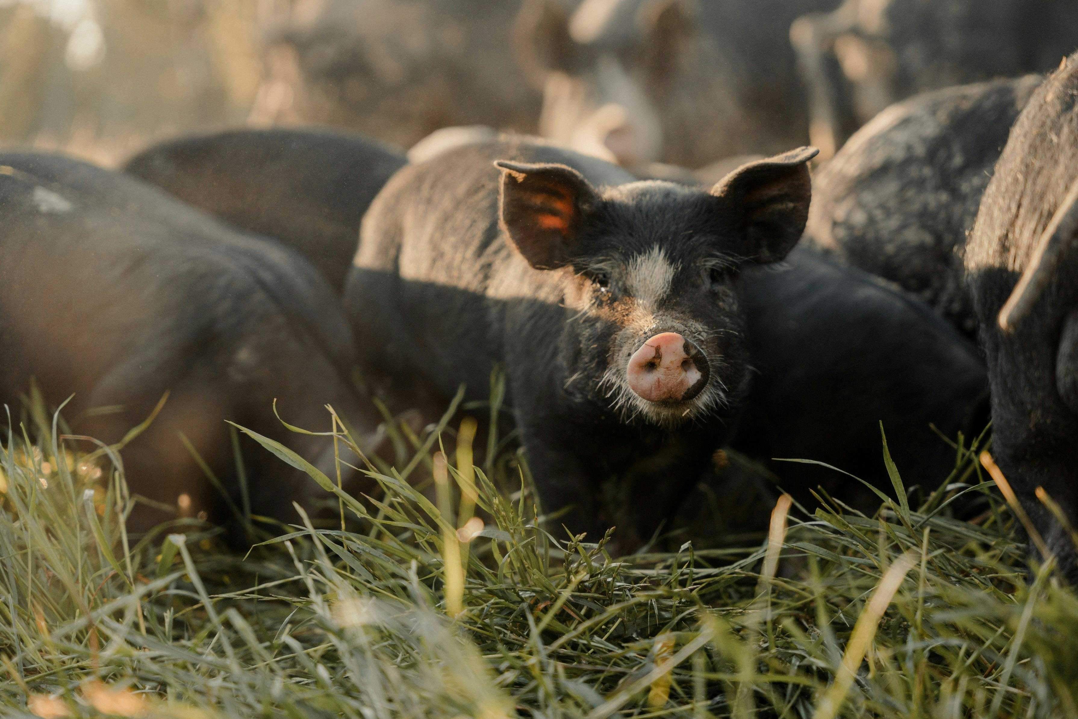 4851Eeaa9E57140Caa8E54598886B522