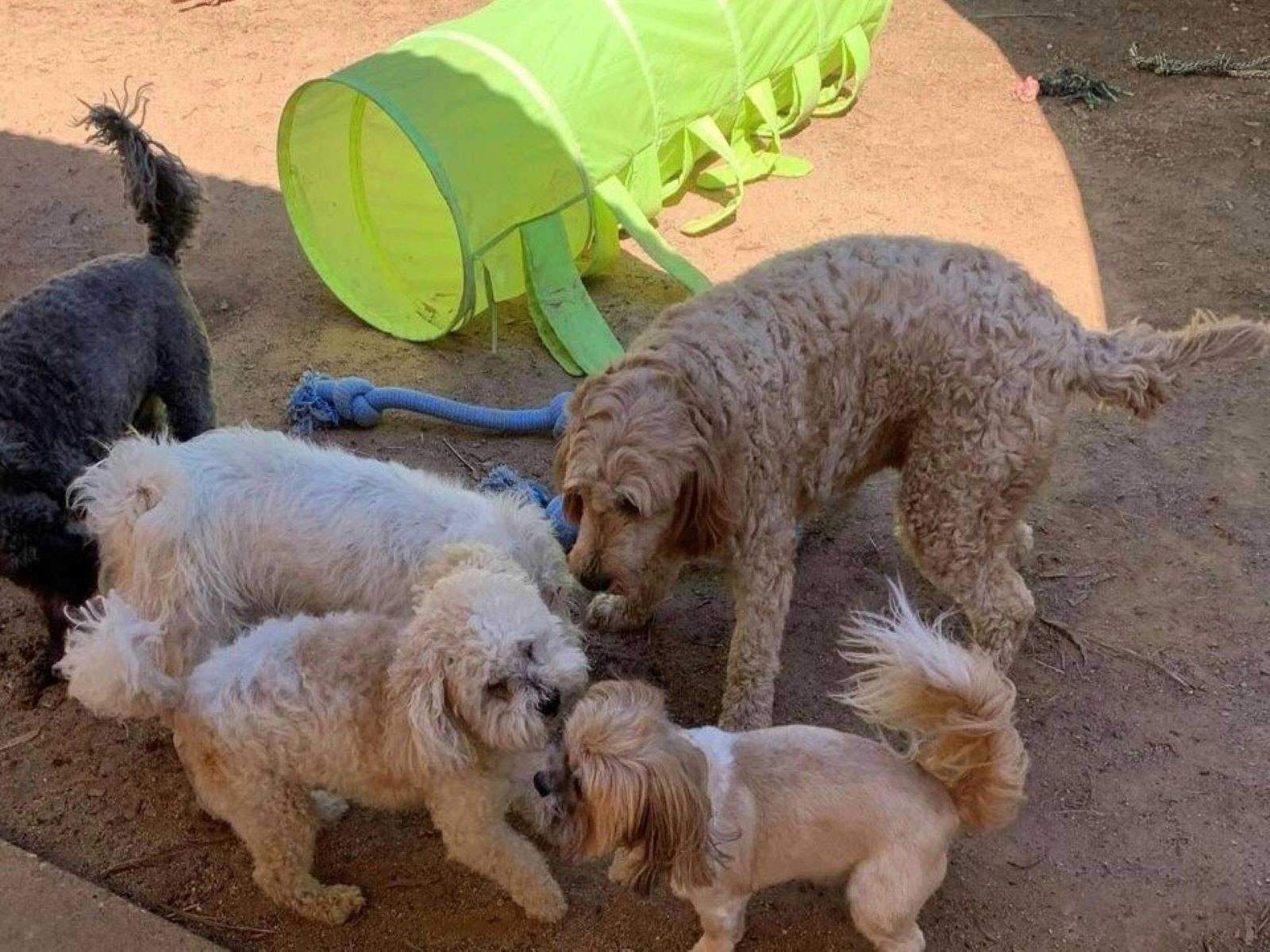 C18A6F34073Ad269727A6E353B8D4302