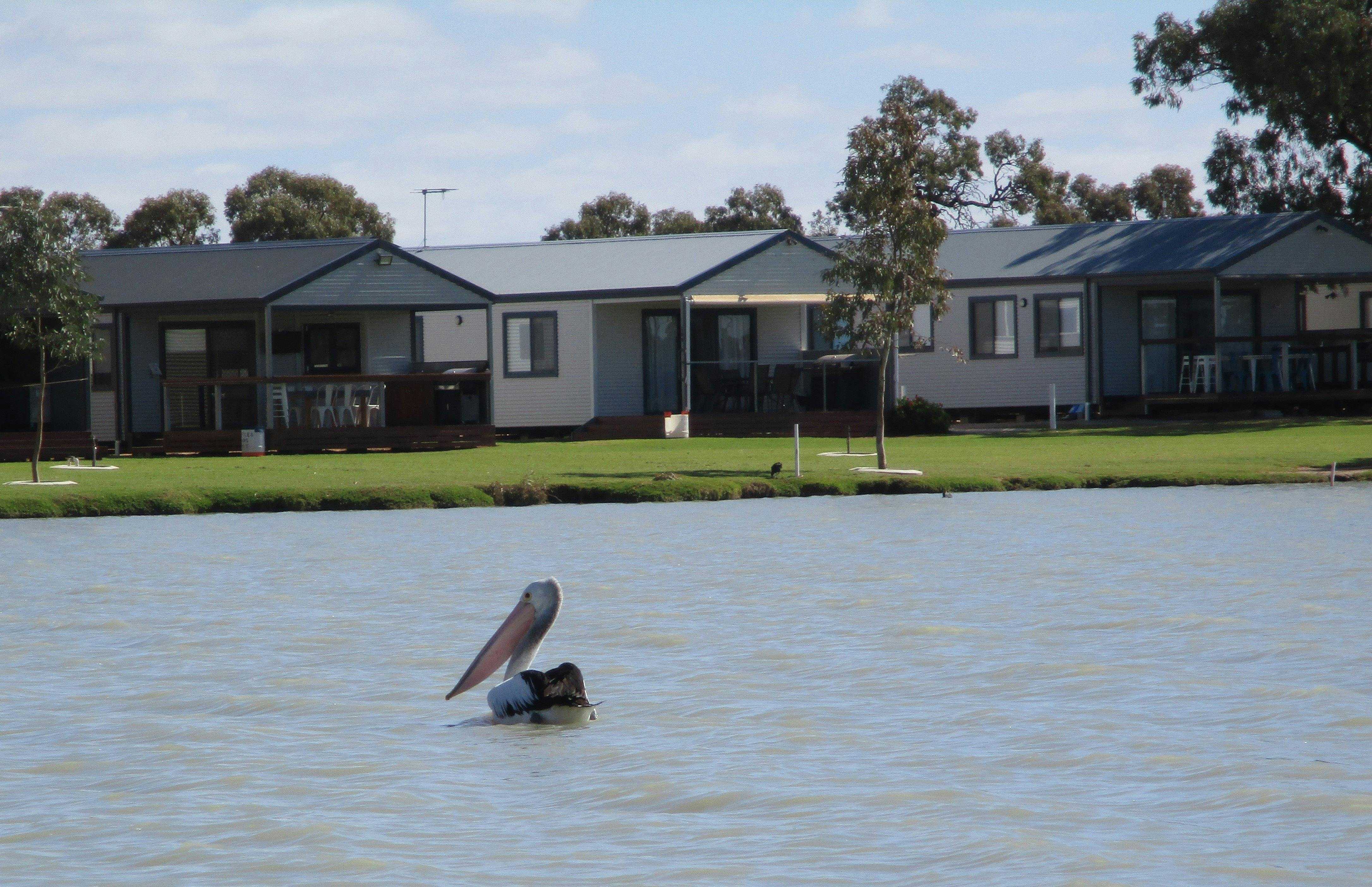 735547E5C815C712897620Ba31233Cc5