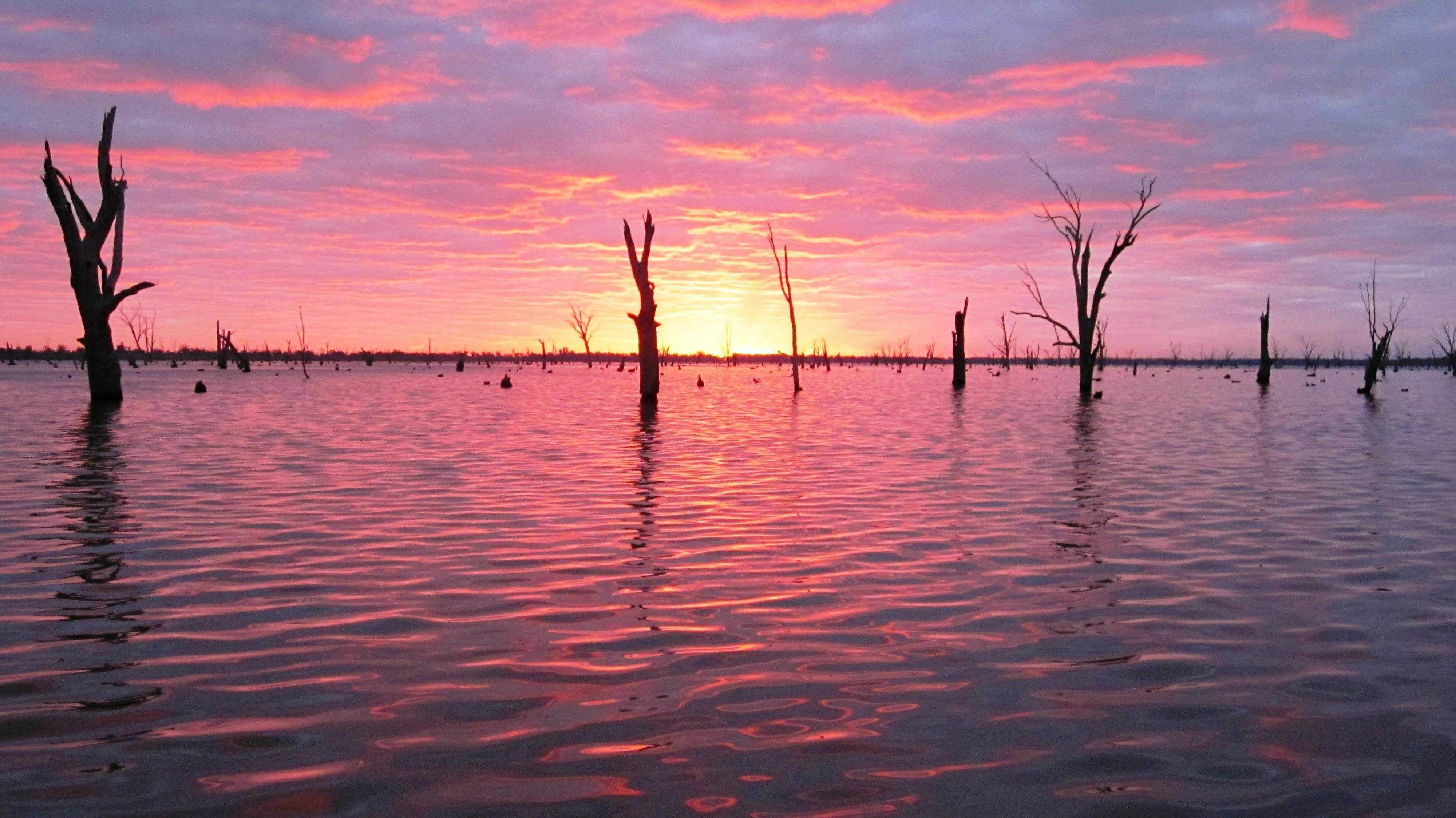 628C229104Af2Cb932Bf54Ffe4Ab5E32