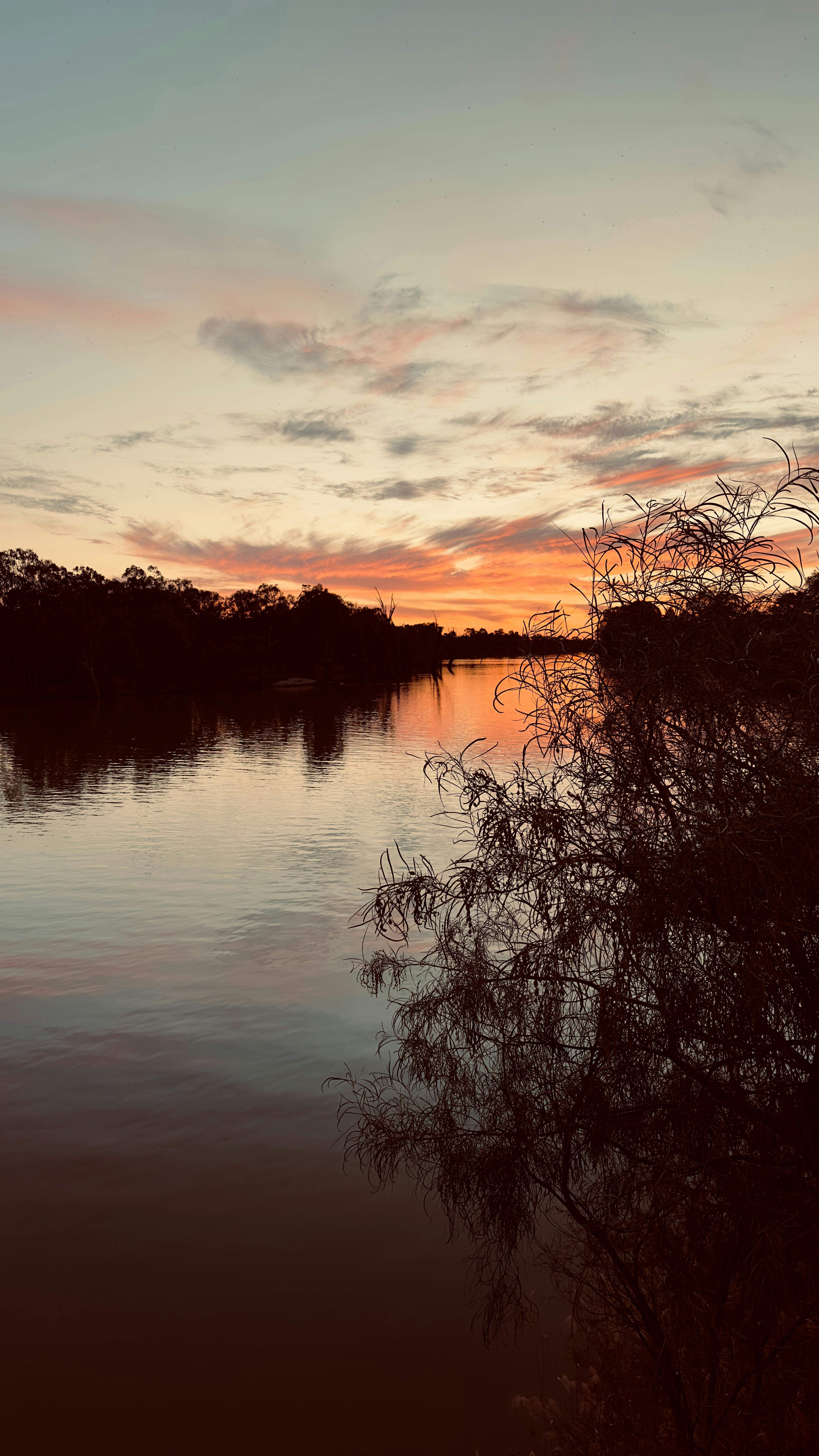 Ab42690Fee5C79F3801Ca67A63E1635D