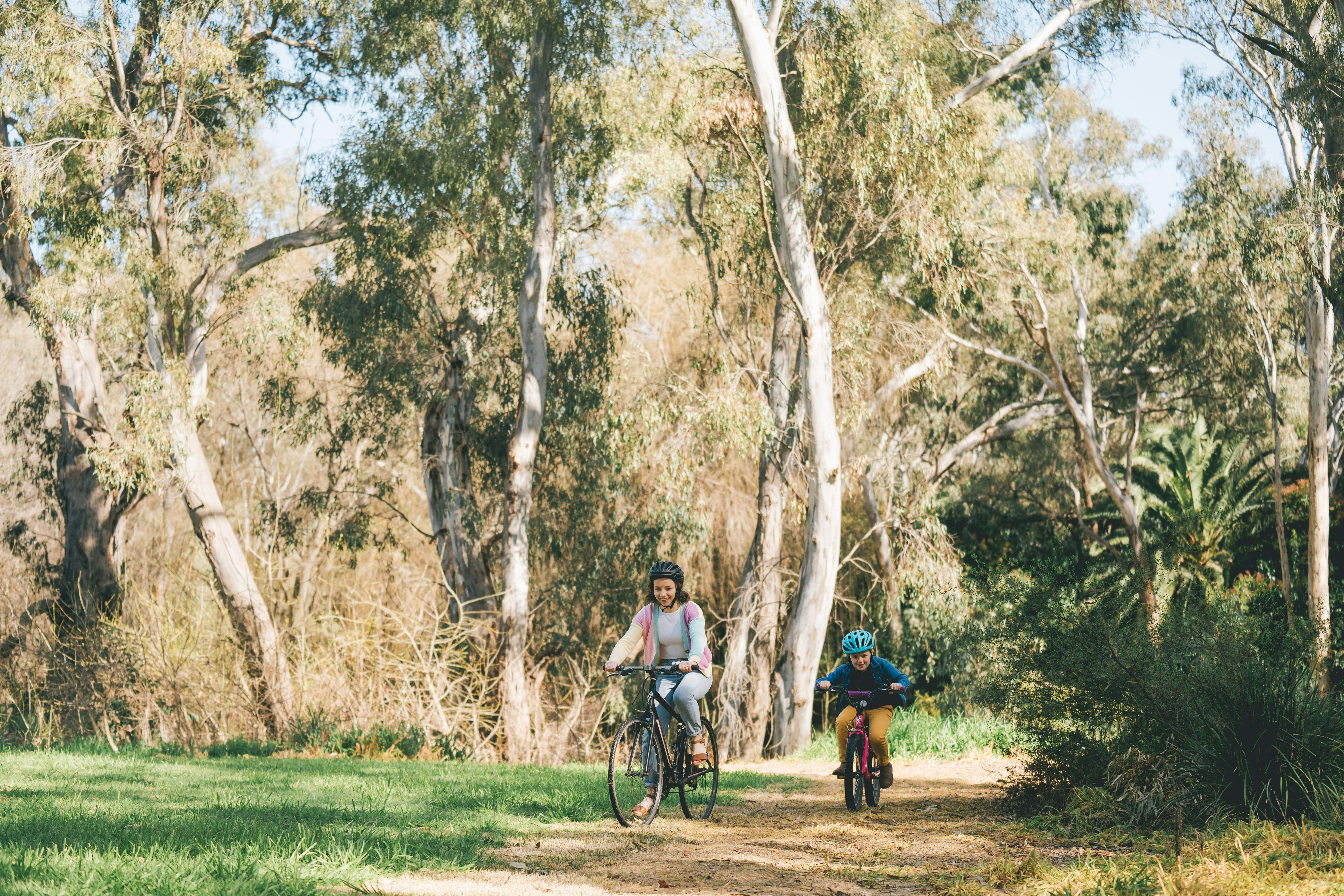 5103F042C04D7C80C5B165099E4A4Dce