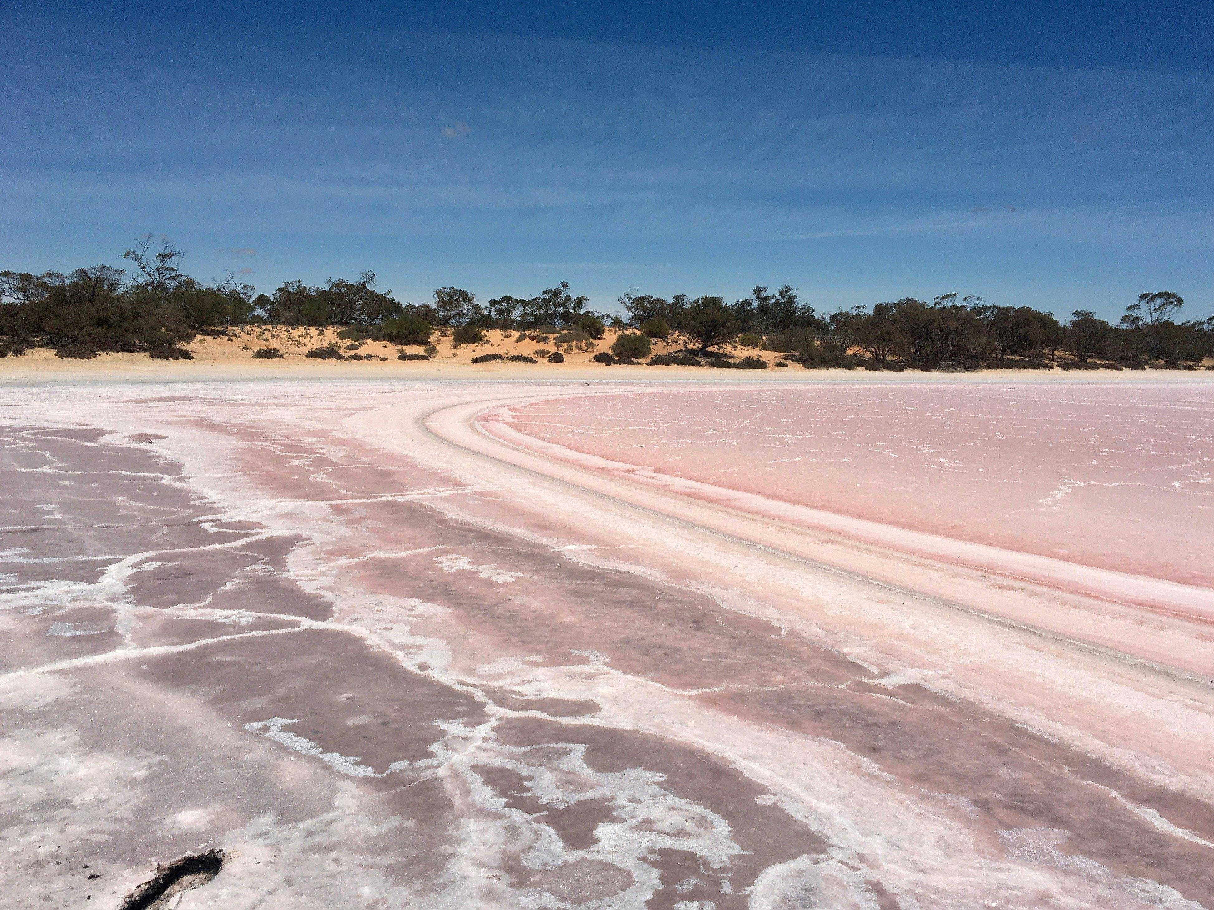 D606Dd58F7B22Cc6F2Fea7587F631B30