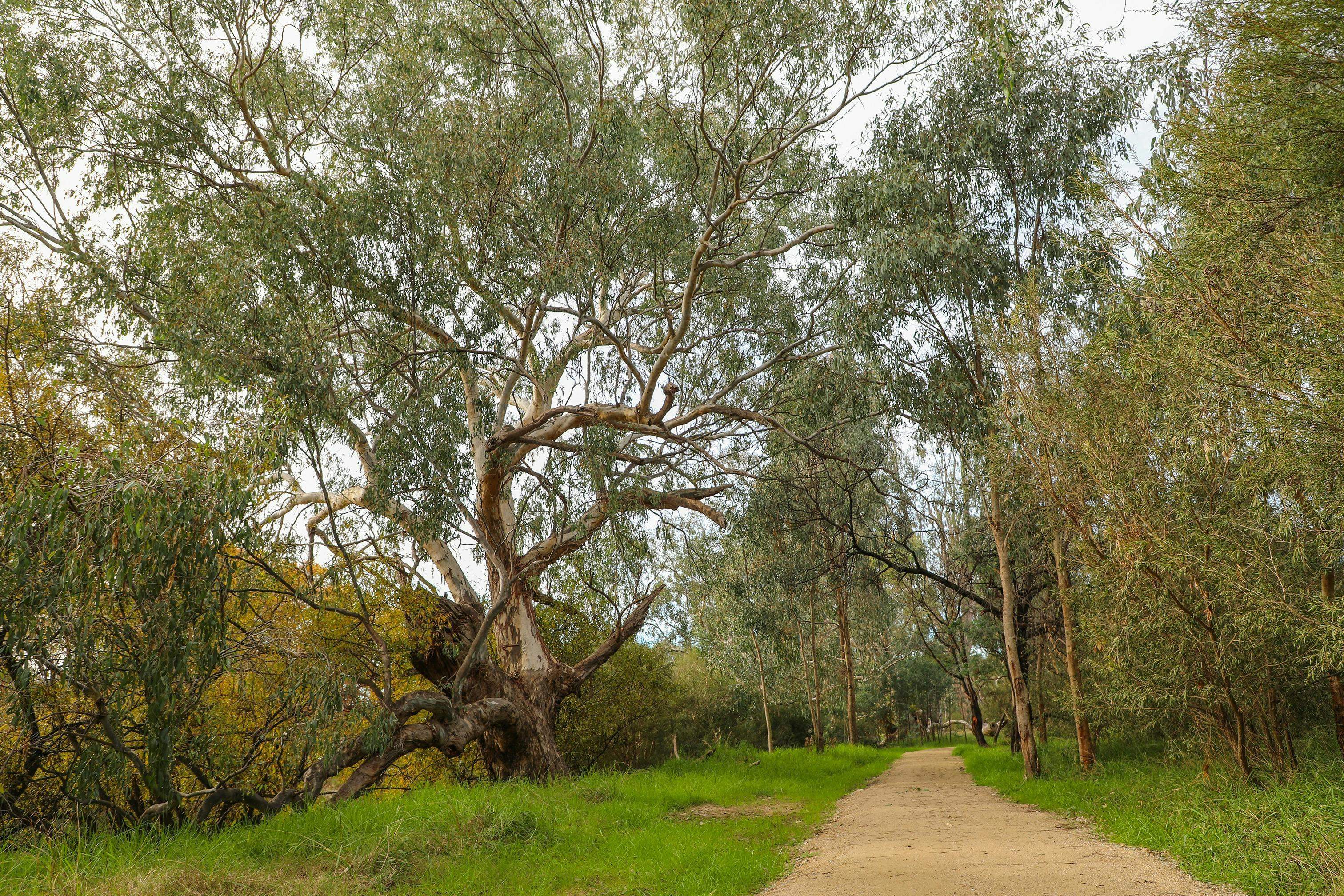 5625F9654E9Aadb47C2F8Ee48Eaa7B3B