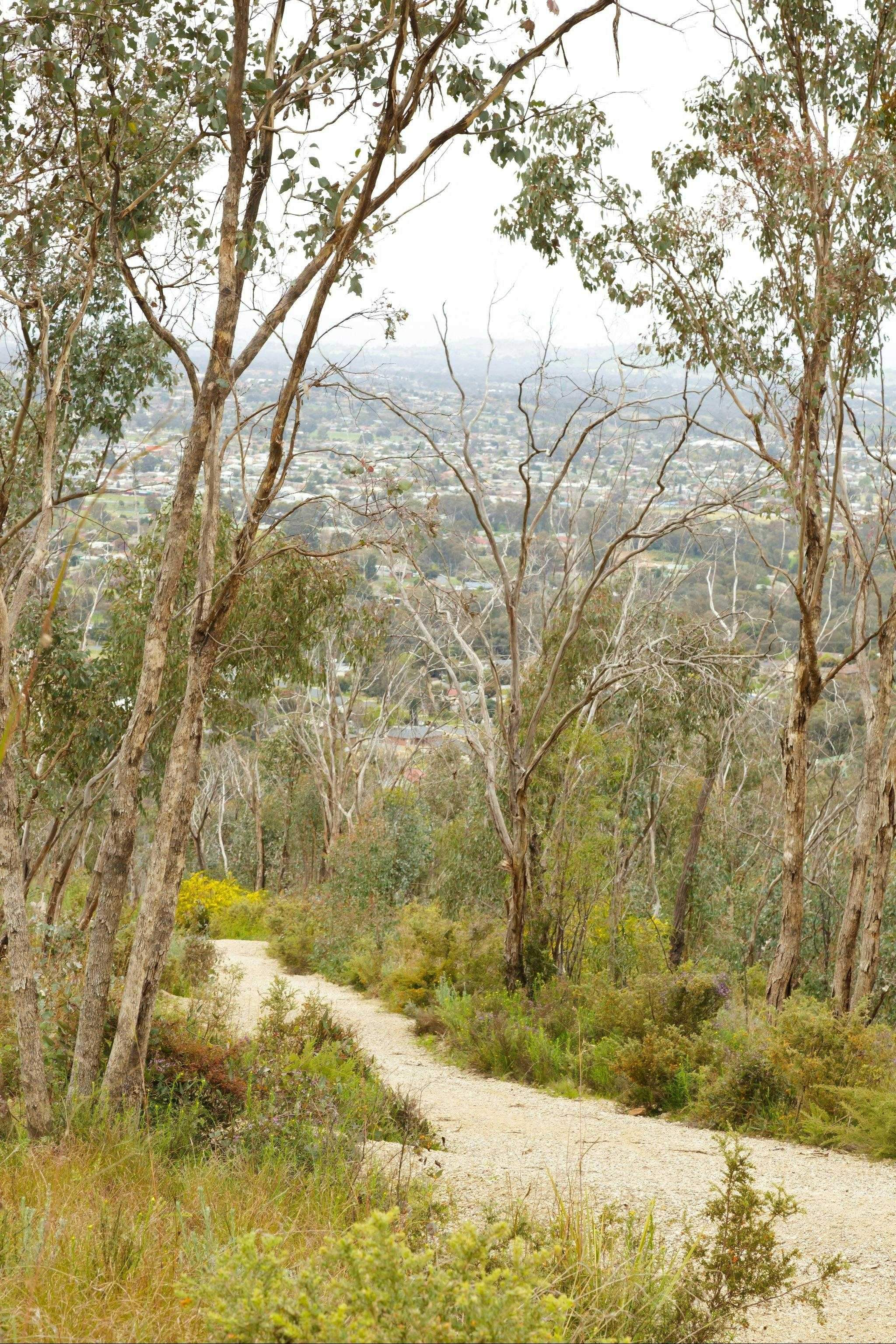 643B98Eb03D85437Ccf99C648Bf74E62