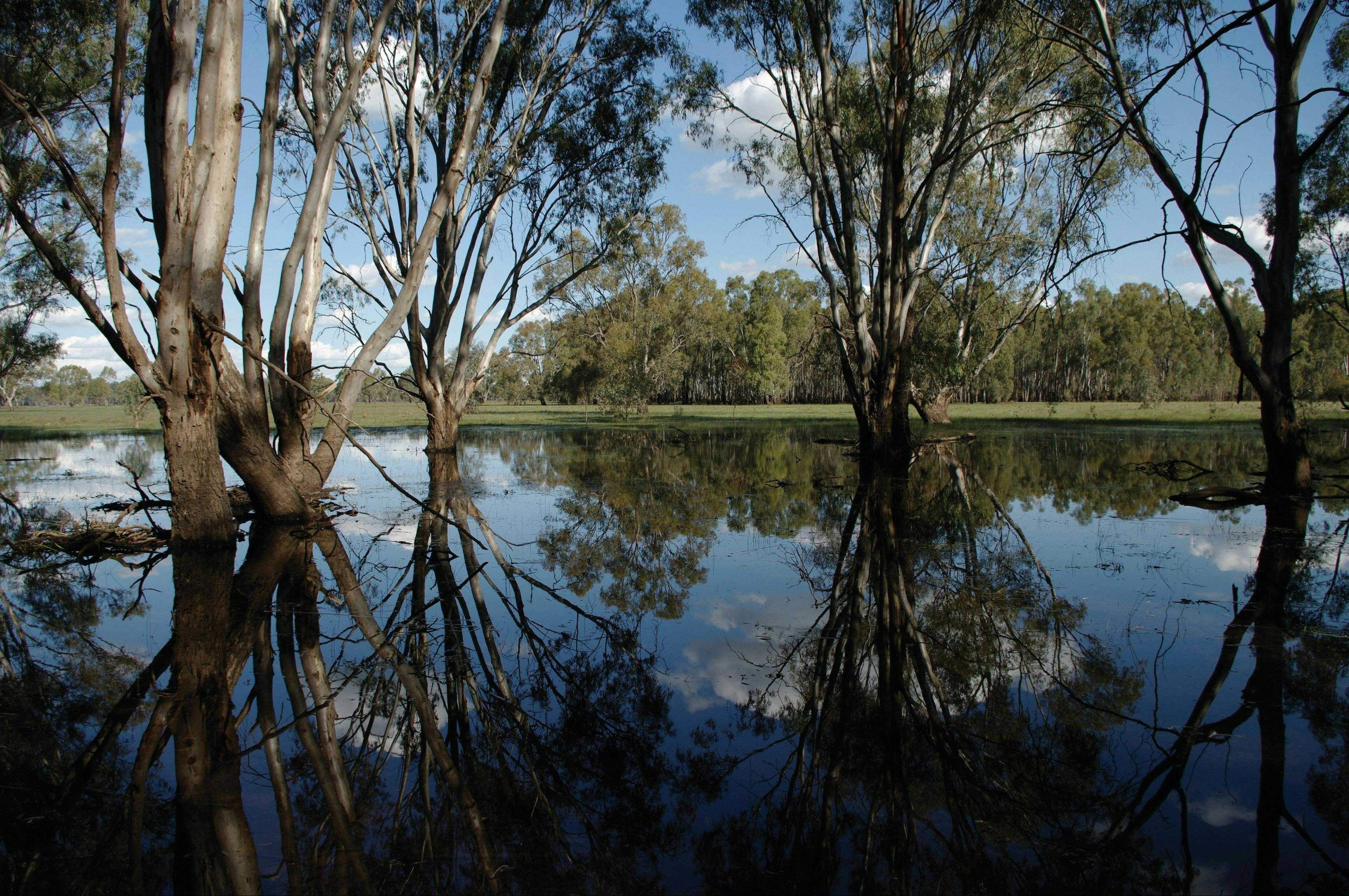 5Ef763D5Bb227Edd194Dcff9055D3B7E