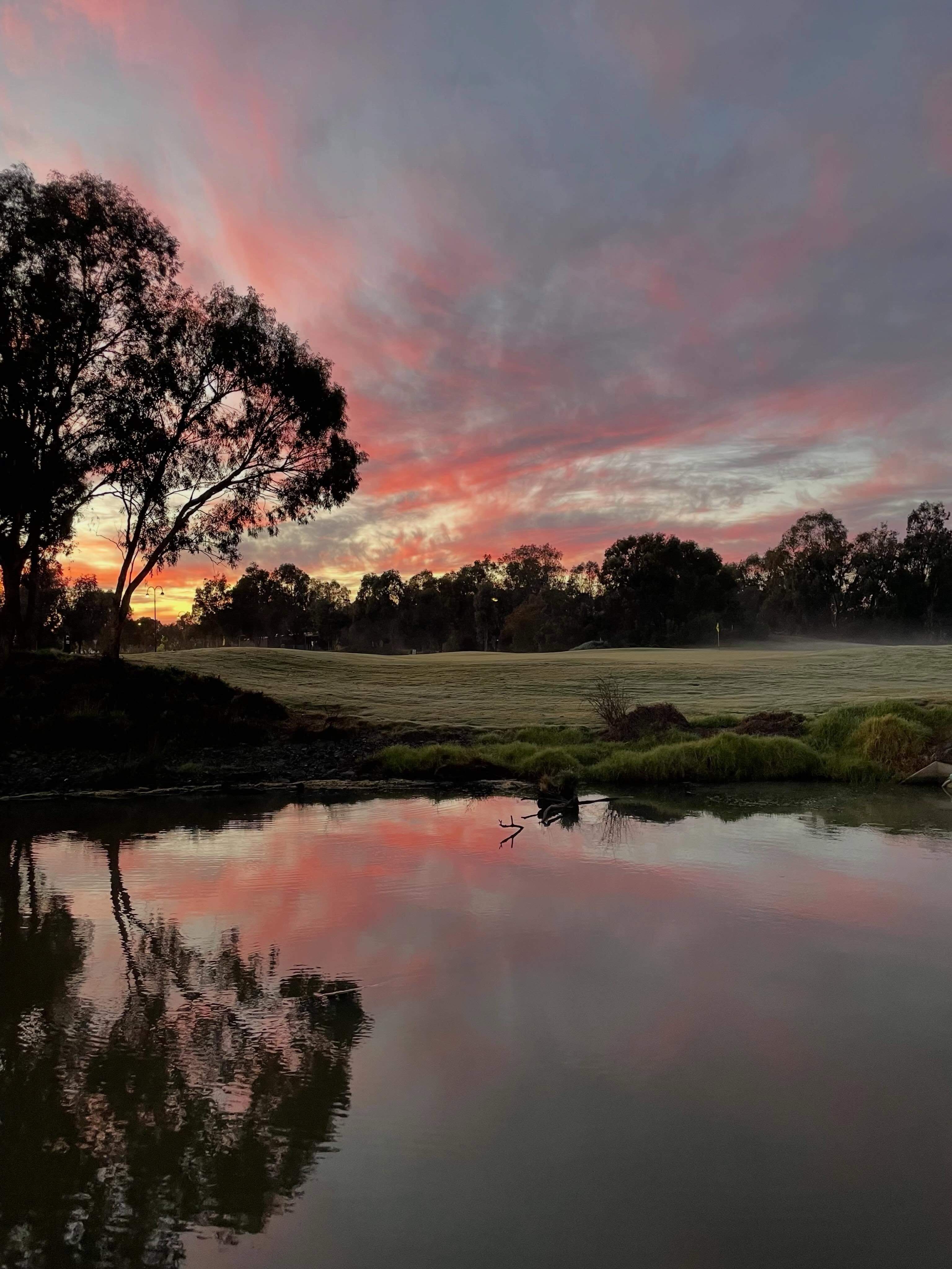 visitthemurray