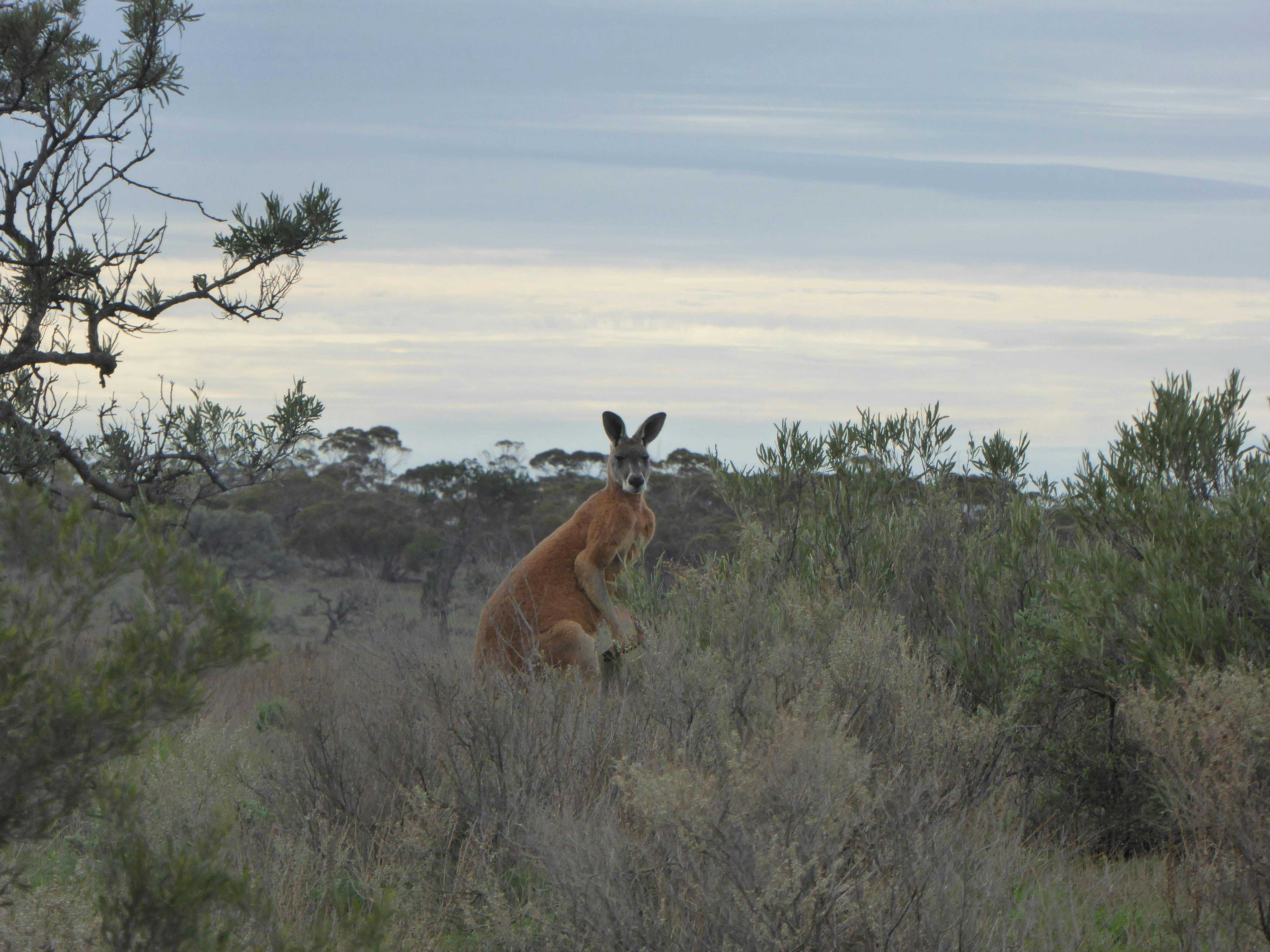 4Dccebbecbabff577A43F0294594Ce84