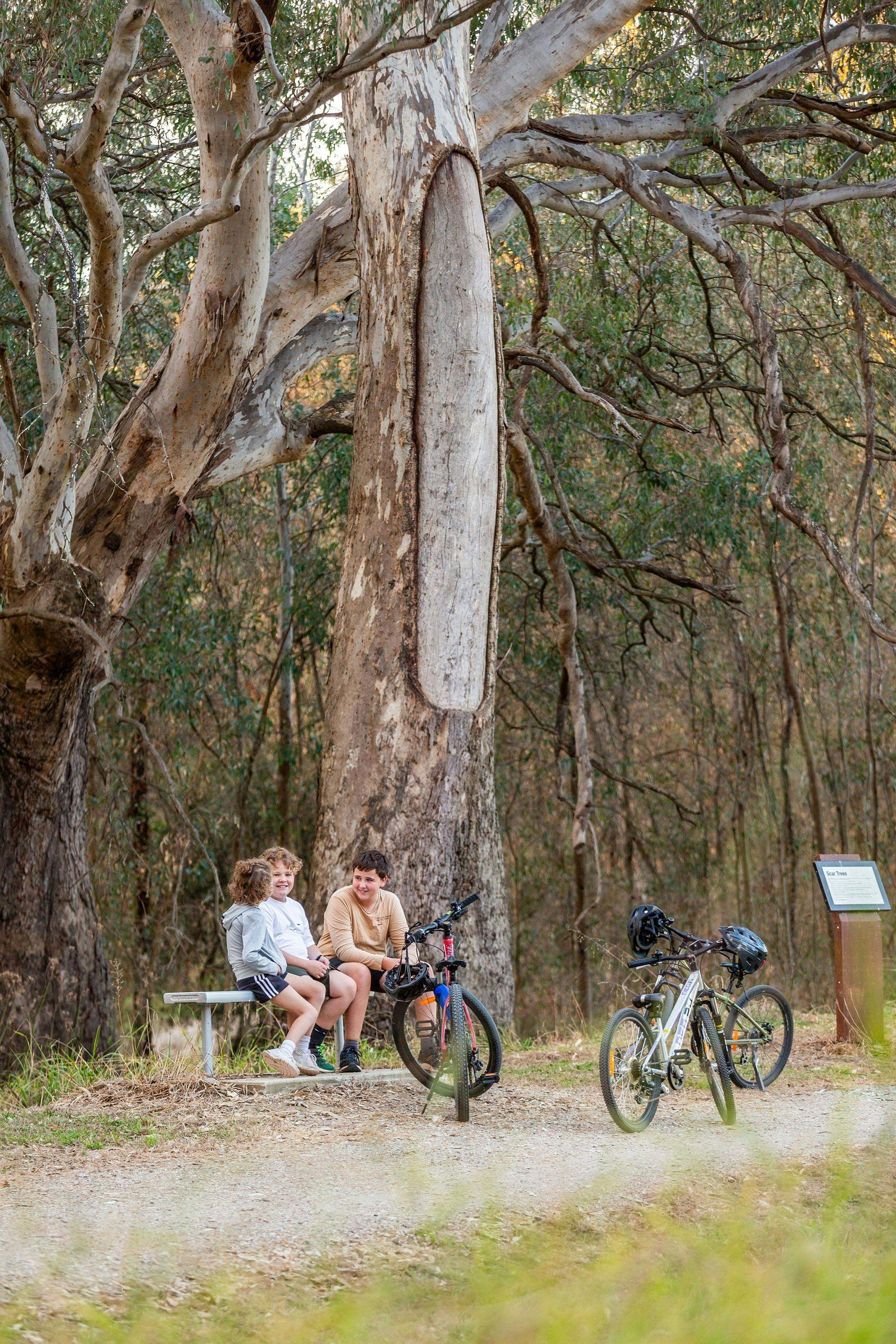 8F7827B83E0E441Ee6C42Bdc6A18Bf45