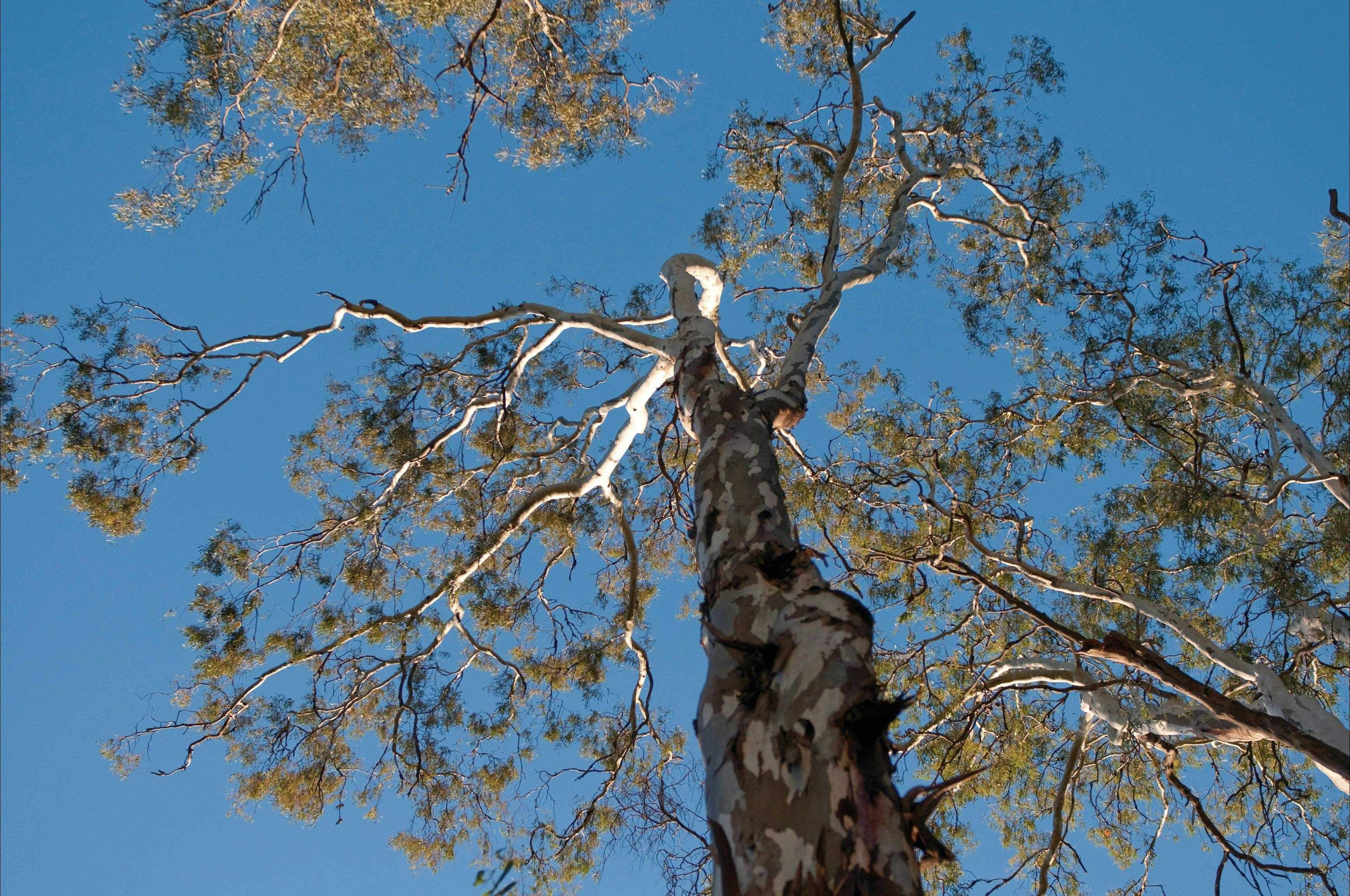 709C1Fd979Cbaf67870A585526239E63