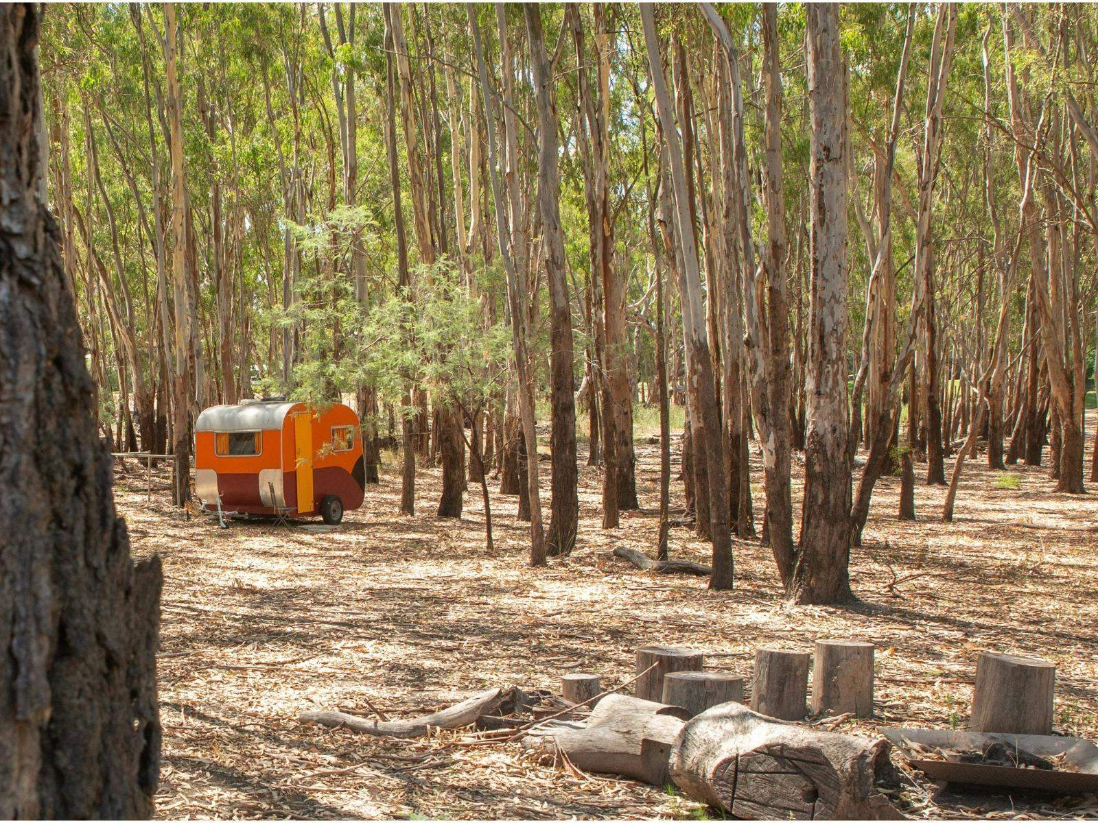 C74B6E79F7F24952Cfec99B2Dd1Cc780