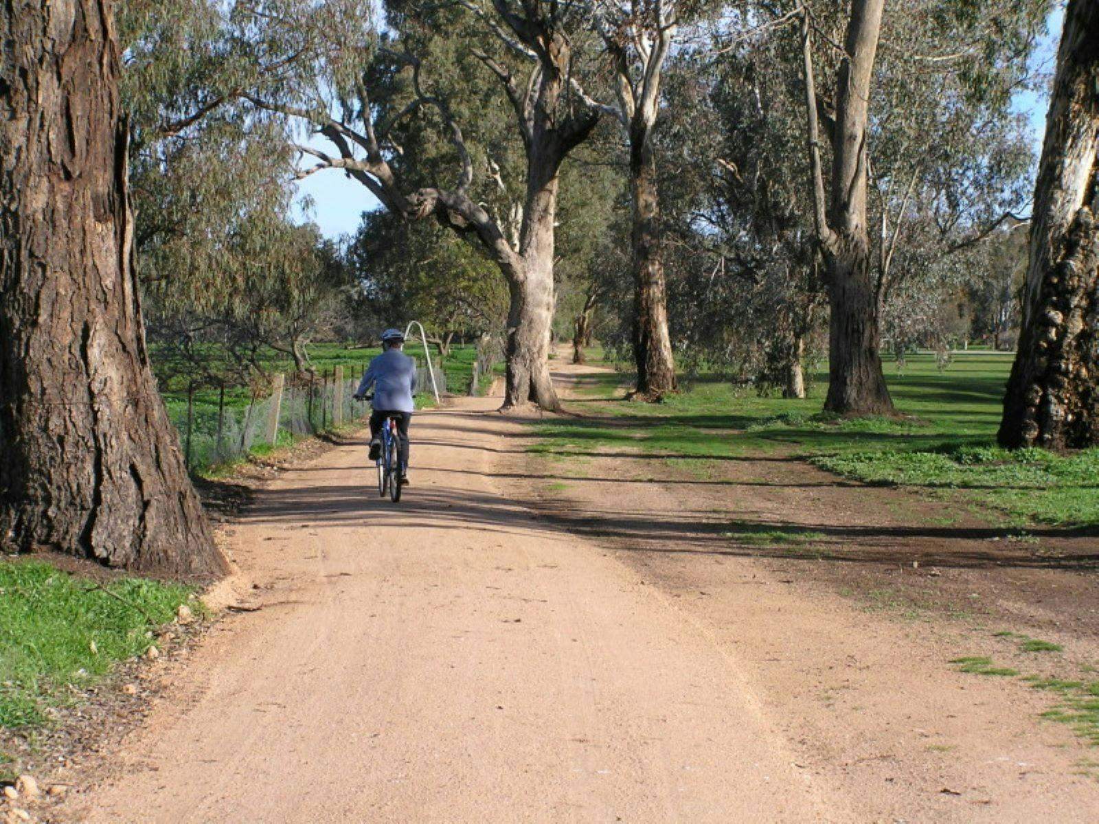 1446Feb3A7F37A64D0577886Ecdb5B00