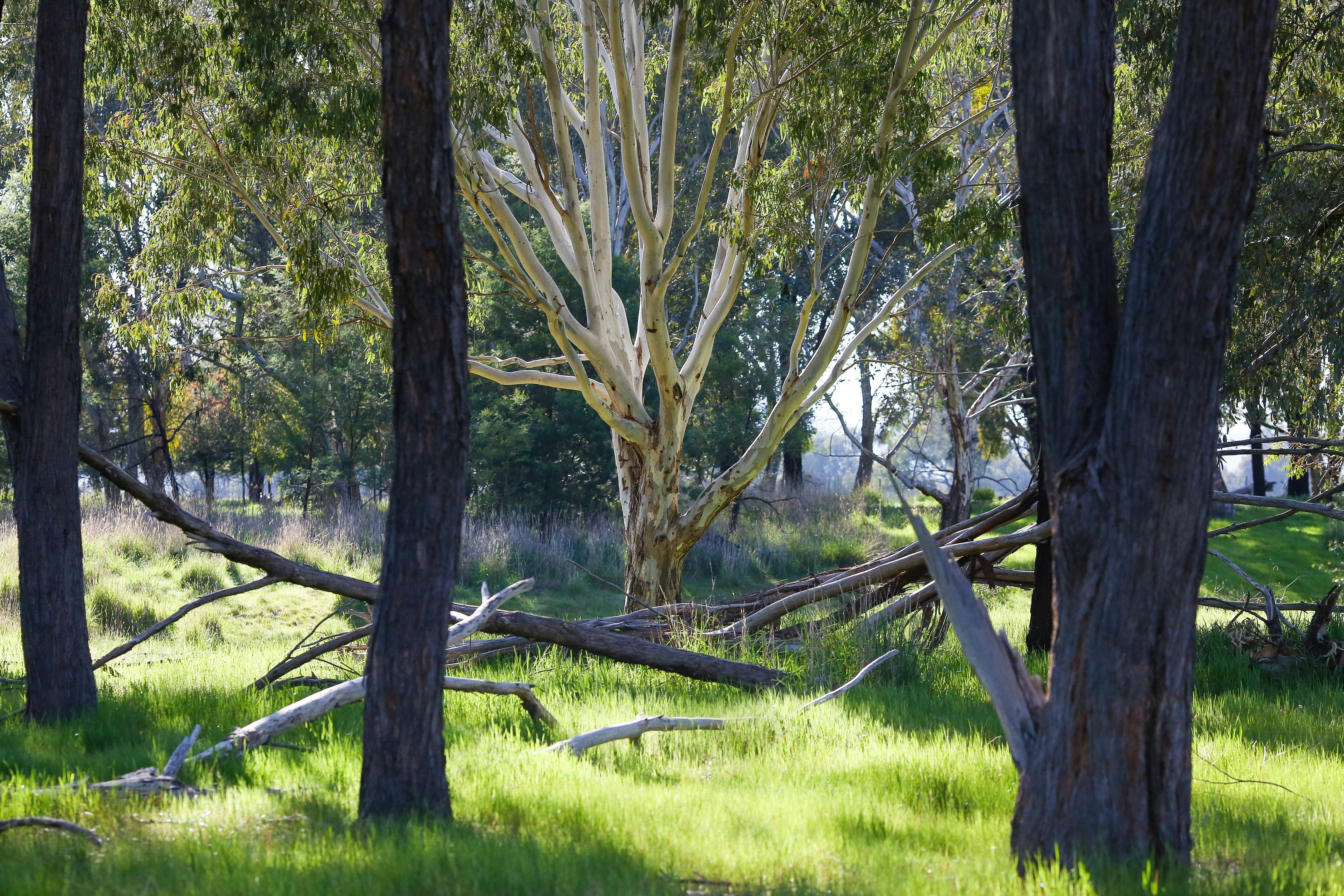 F22Bc7E391200263A78E4B536088C275