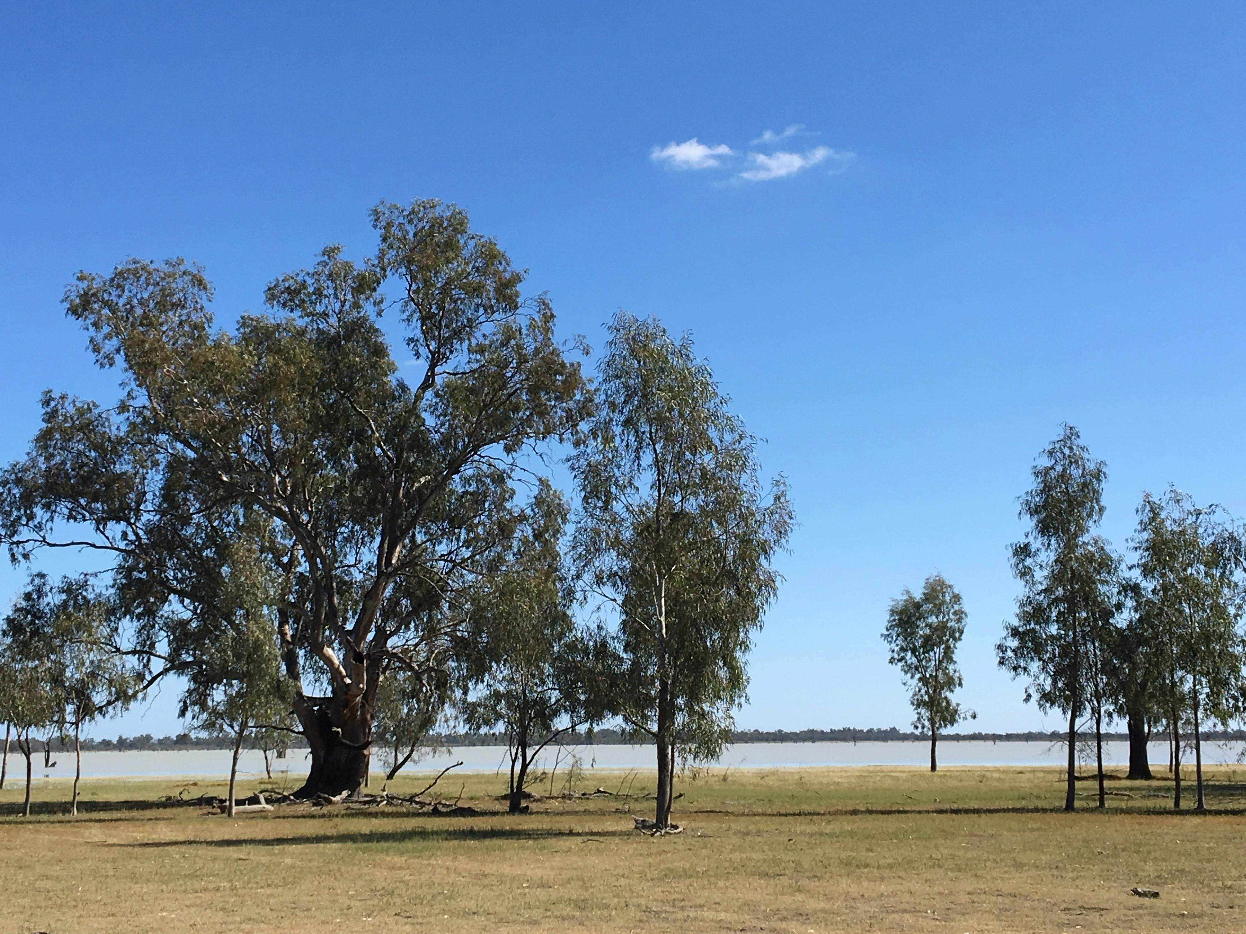 6F138E9832C131A6967F51C529D646A8