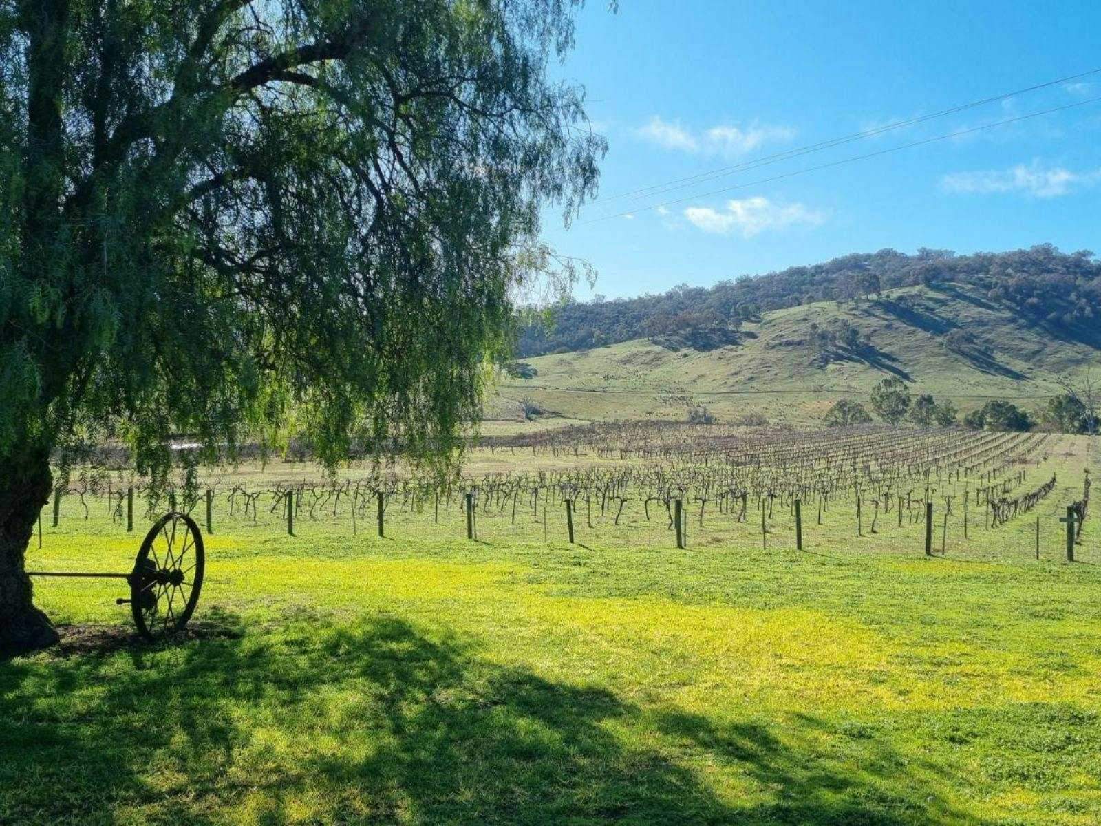 B9D2B132C4E136D61Dbbd3C20F37C20C