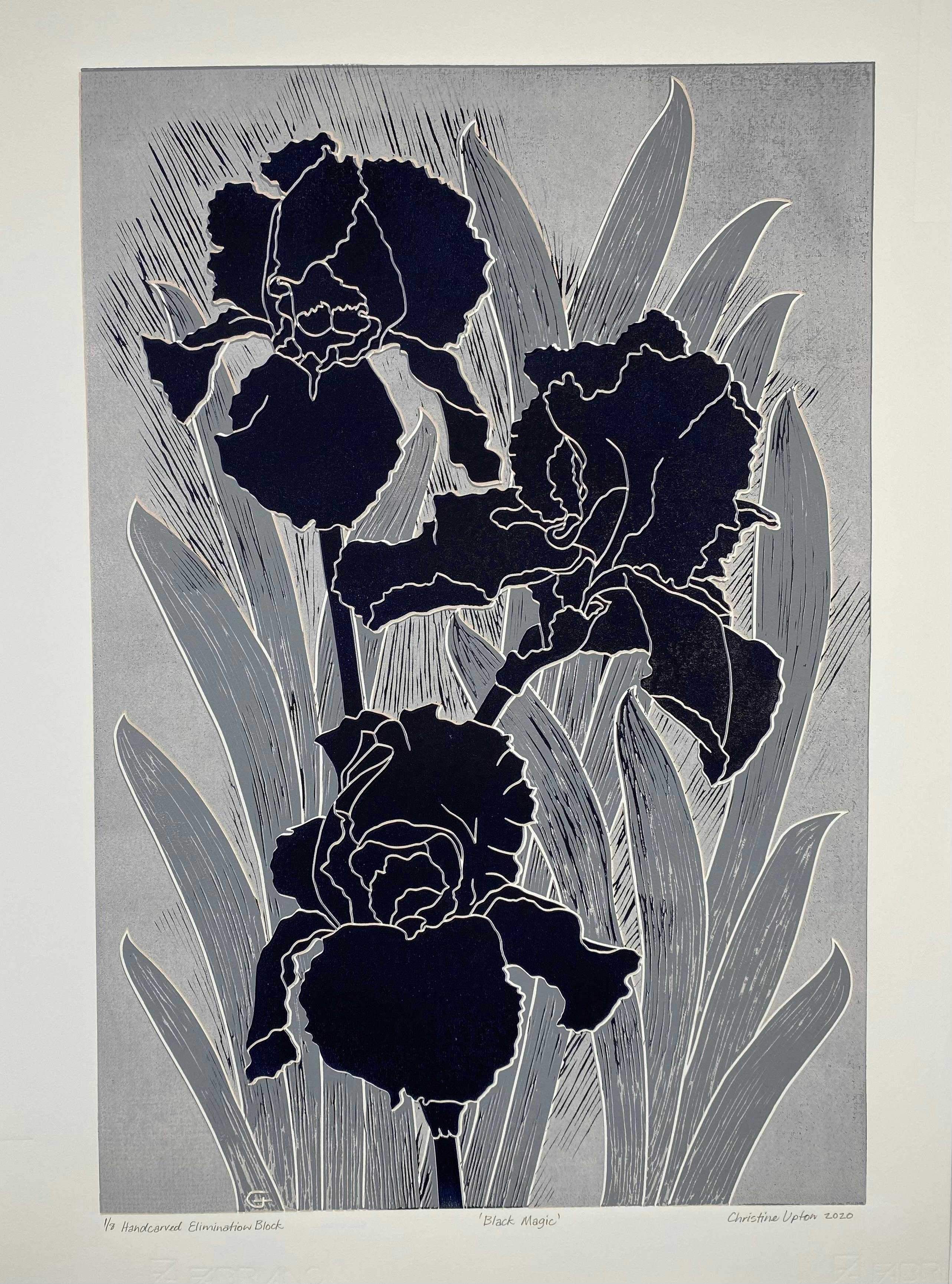 93132479Ab92Fc911C9Da3D8Dd2E22D4