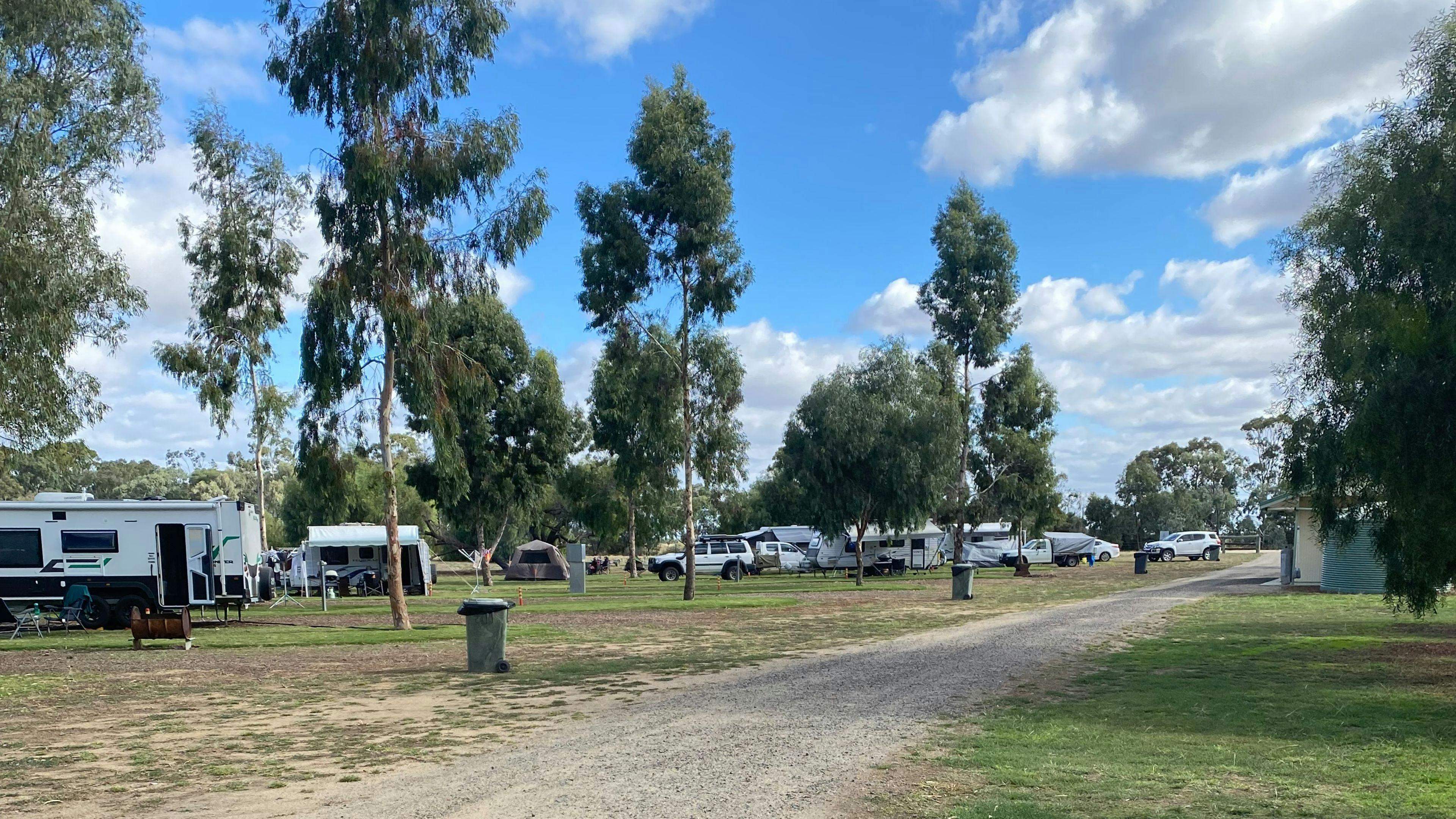 Wanganella-Camp-Park-Wanganella-Creek-Camp-Park-Murray-S-Riverina_00Mpv8H