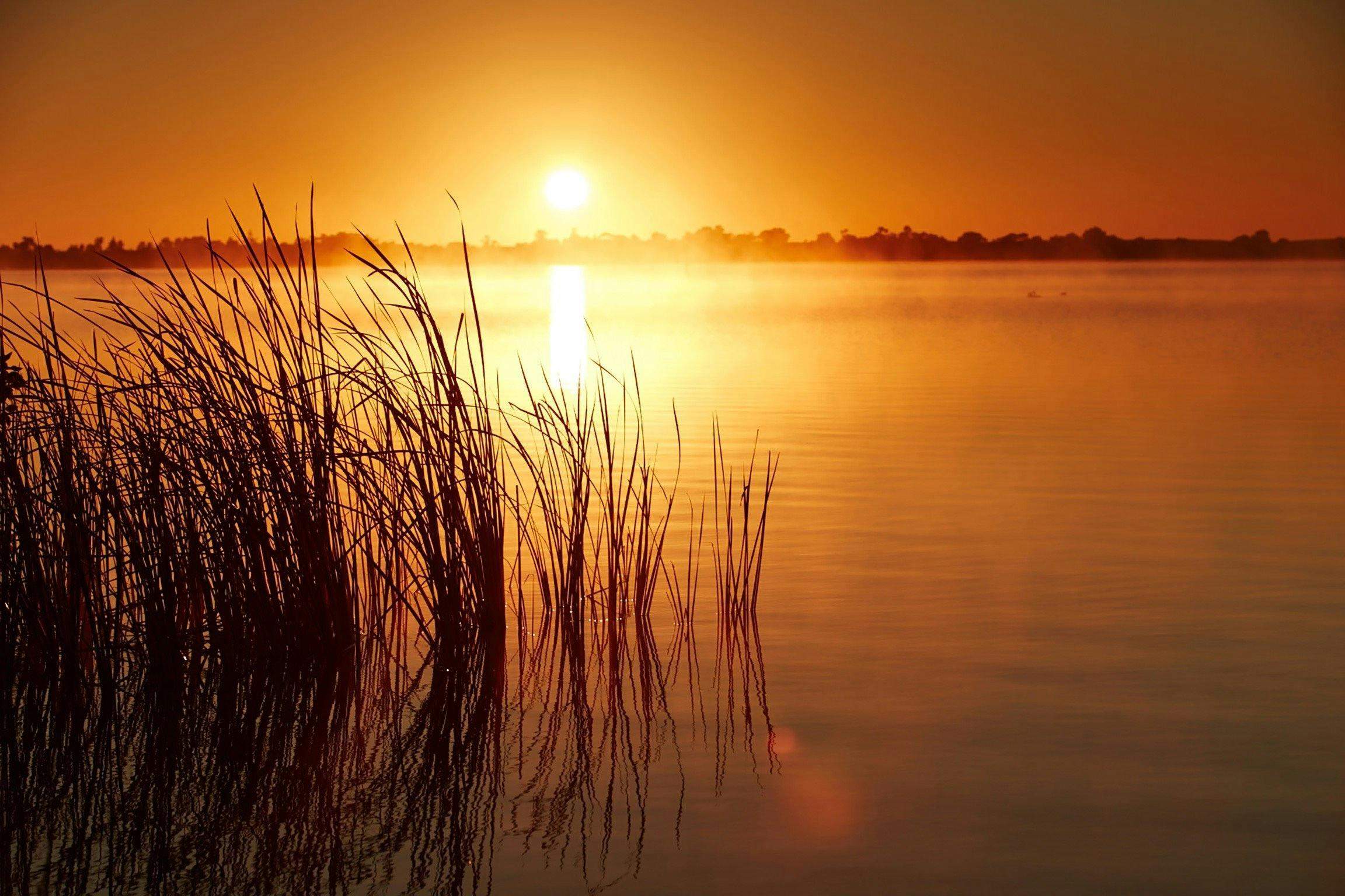 05Fd24693Aefeef461Fcf7402Bc6E34D